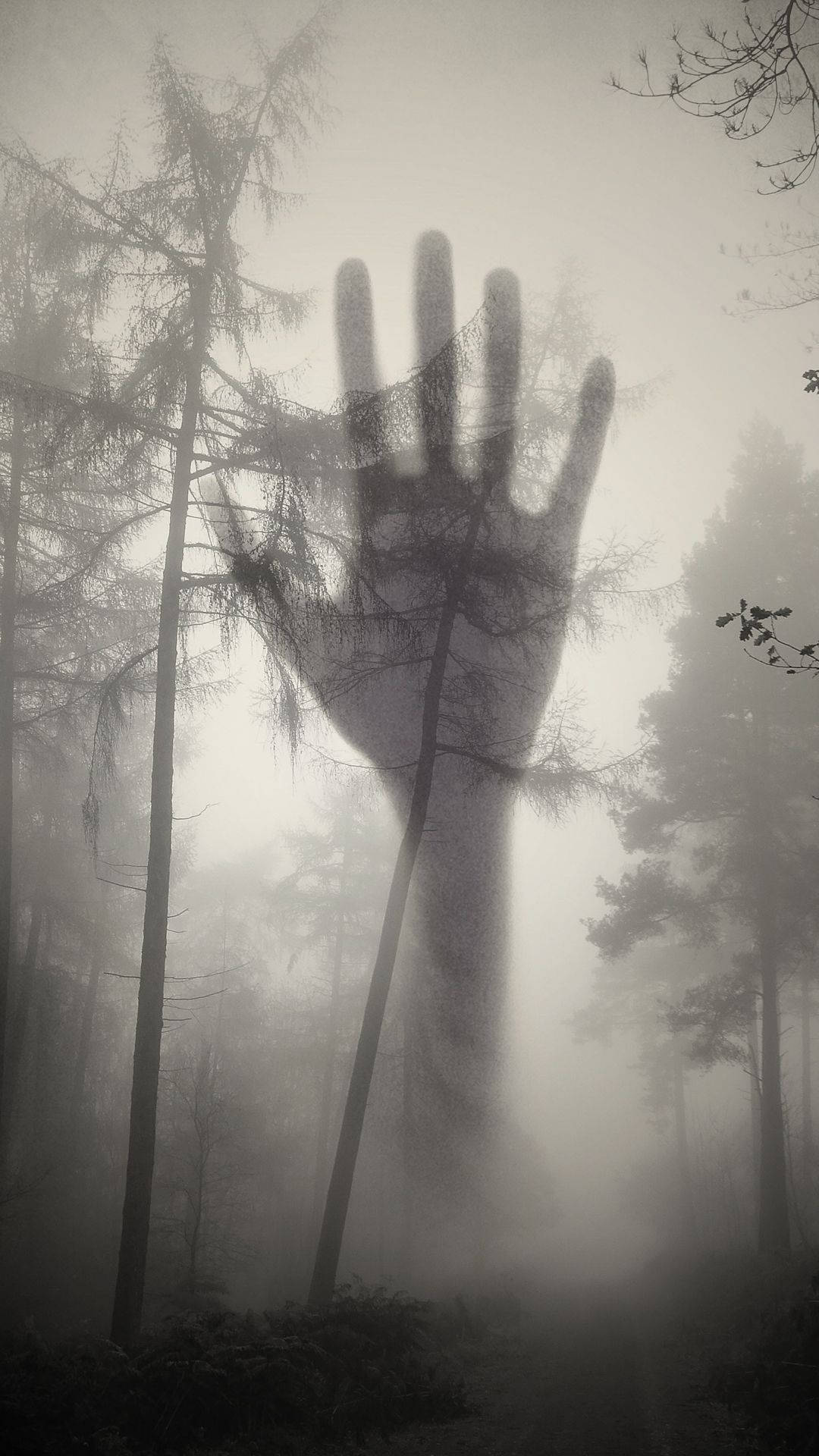 Creepy Forest Hand Silhouette Background