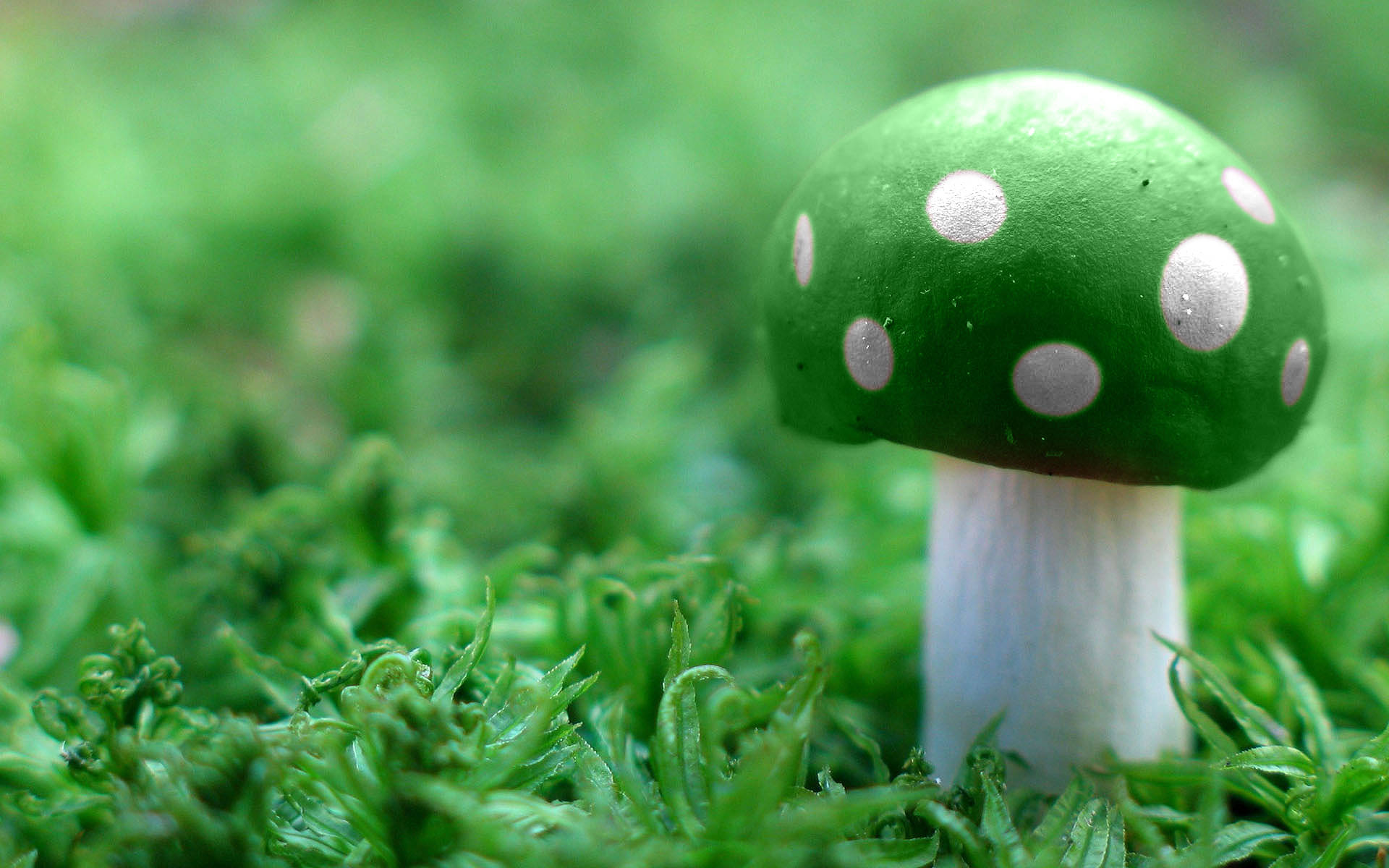 Cute Green Mushroom Background