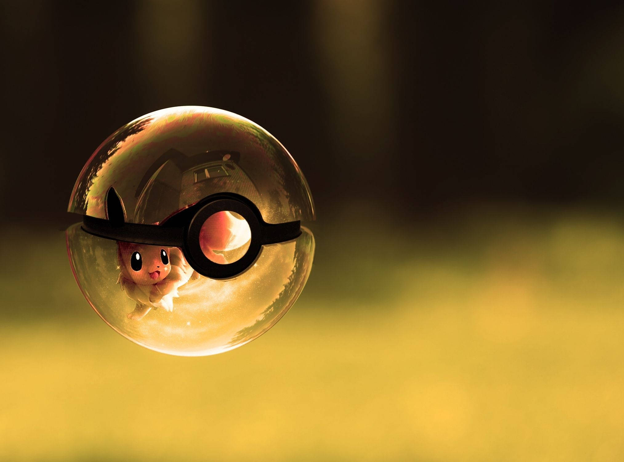 Cute Pokemon Pokeball Background