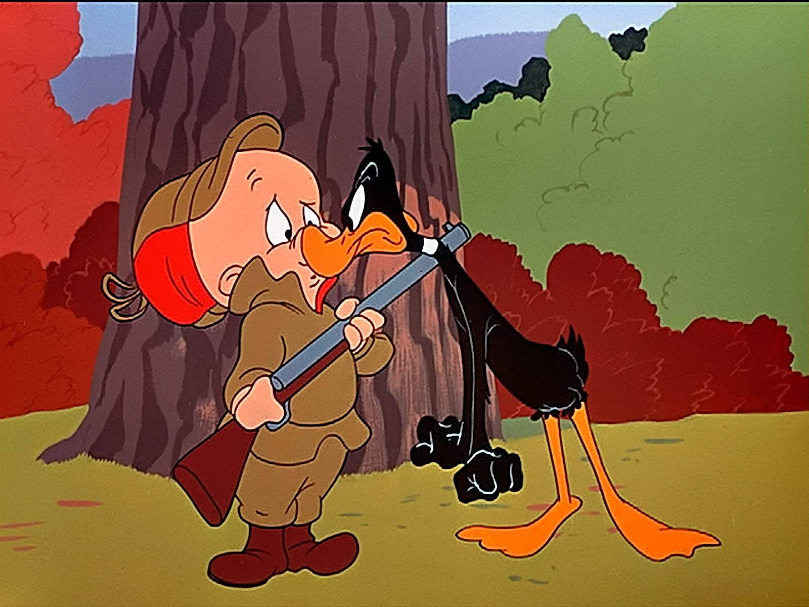 Daffy Duck Angry At Elmer Fudd Background