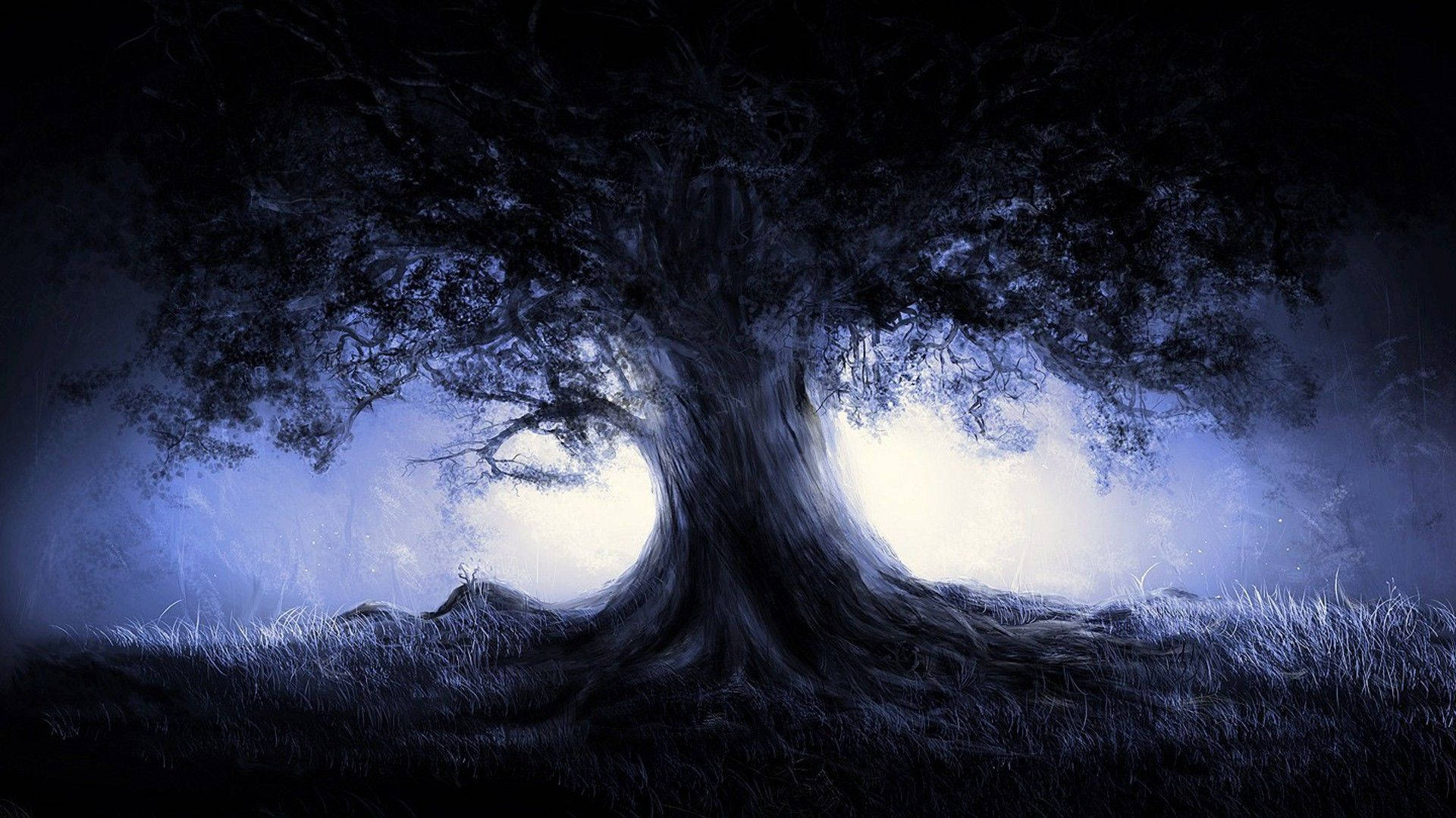 Dark Forest Giant Tree Monochrome Background
