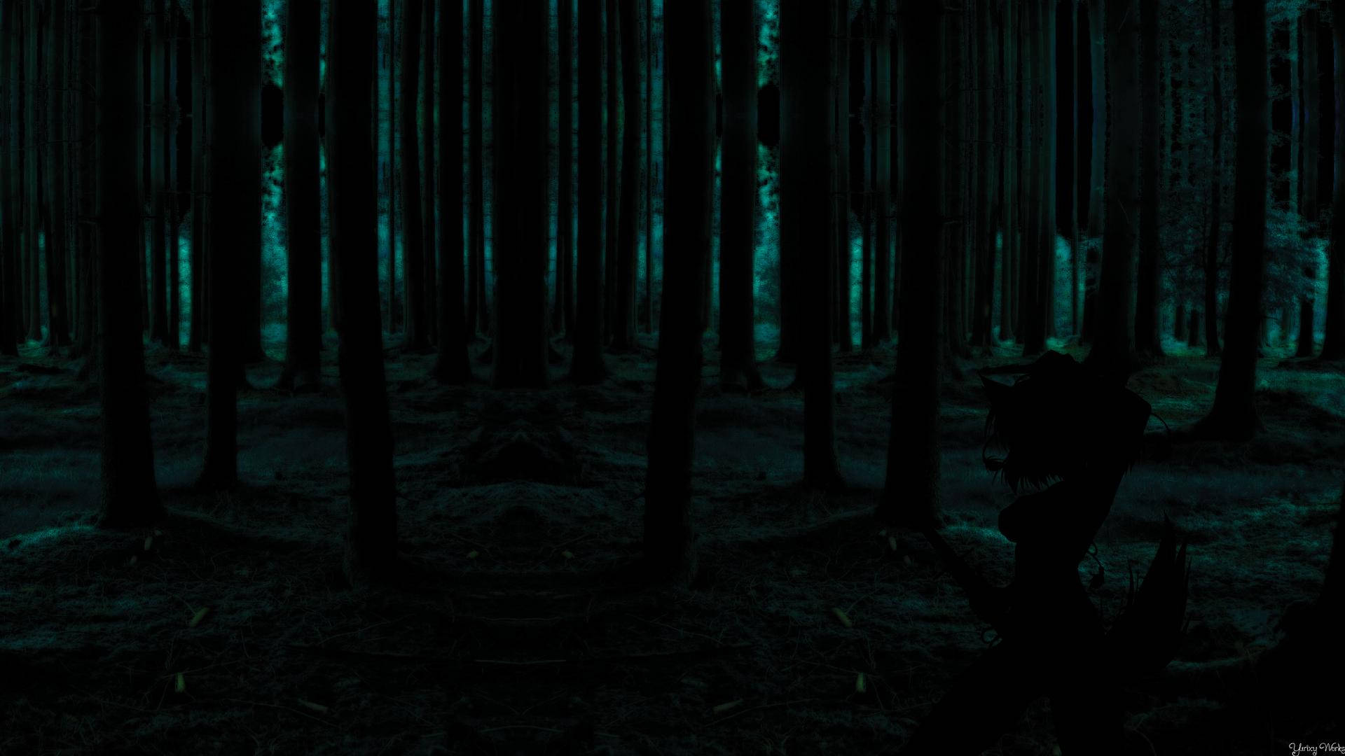 Dark Forest Night Background