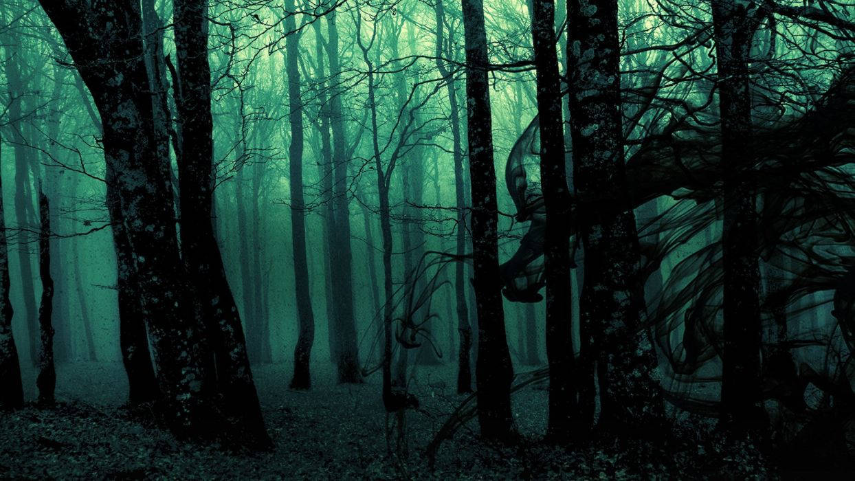 Dark Ghost Gothic Wood Trees Fantasy Evil Horror Wallpaper Background