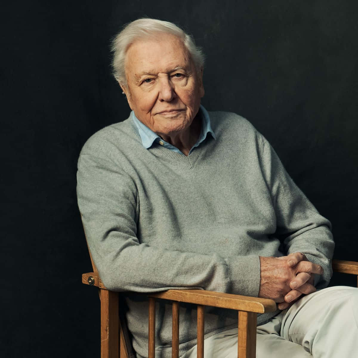 Download David Attenborough Wallpaper | Wallpapers.com