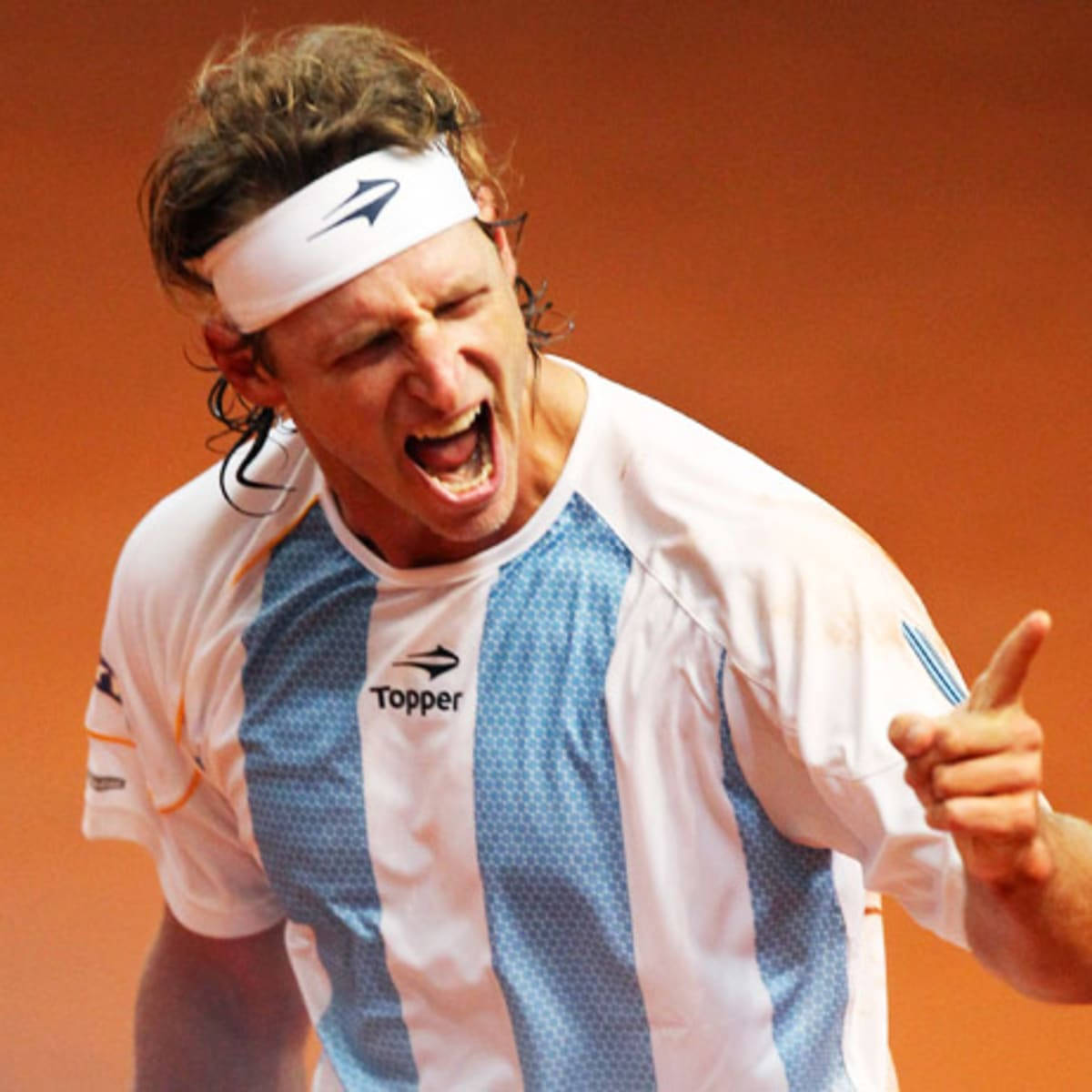 Download David Nalbandian Argentina Jersey Wallpaper | Wallpapers.com