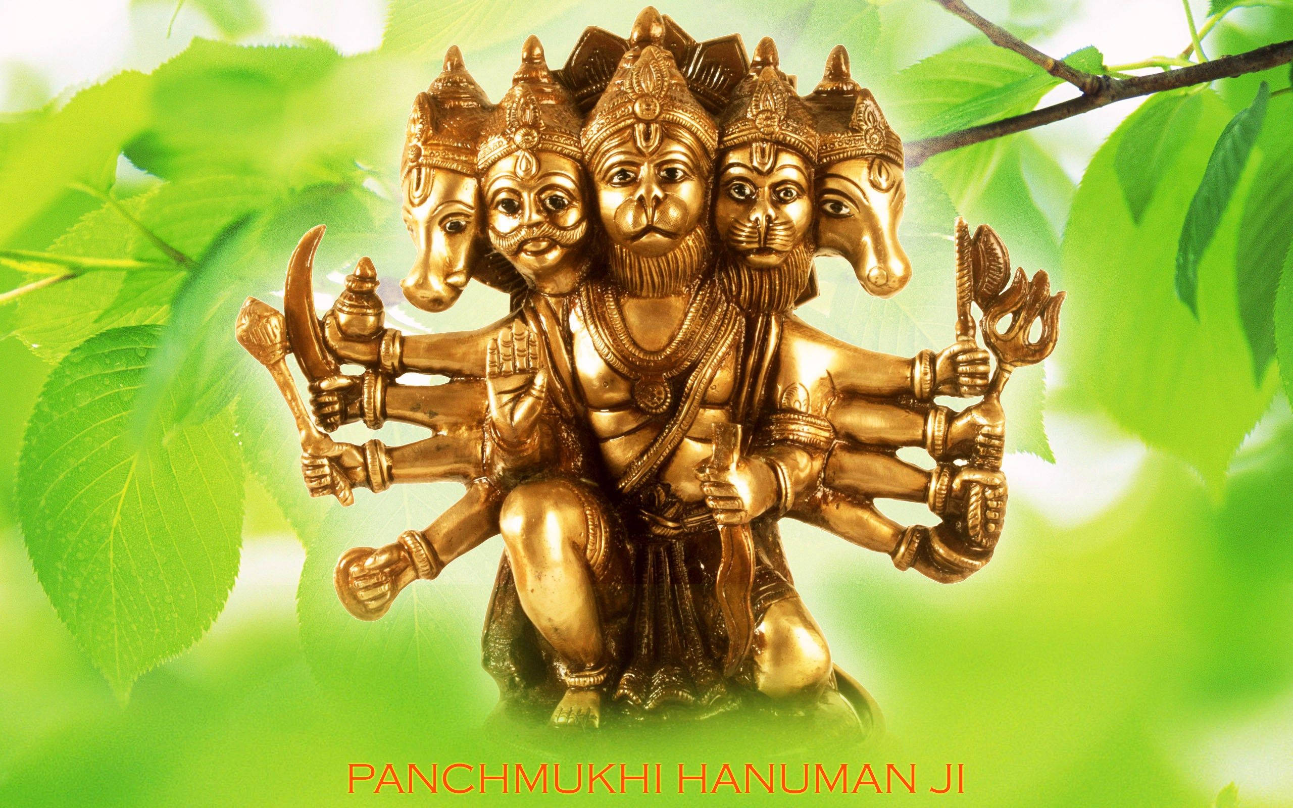 Download Deity Panchmukhi Hanuman Golden Statue Wallpaper 