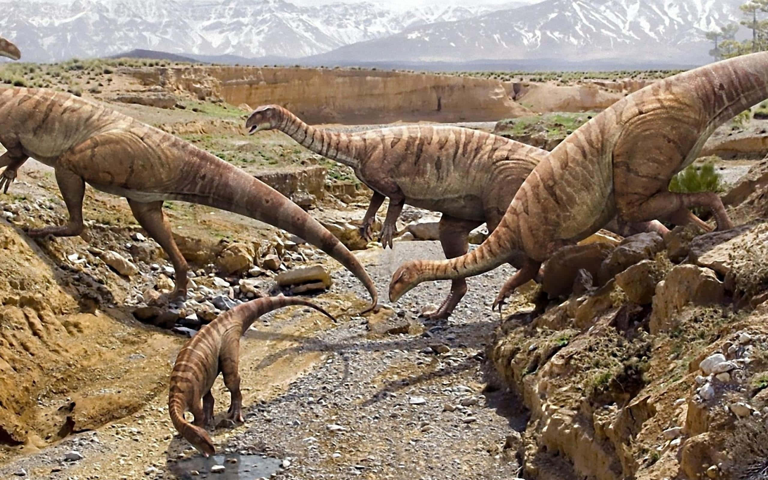 Динозавры это животные. Завроподы Юрского периода. Доисторические животные. Доисторические динозавры. Древние вымершие динозавры.