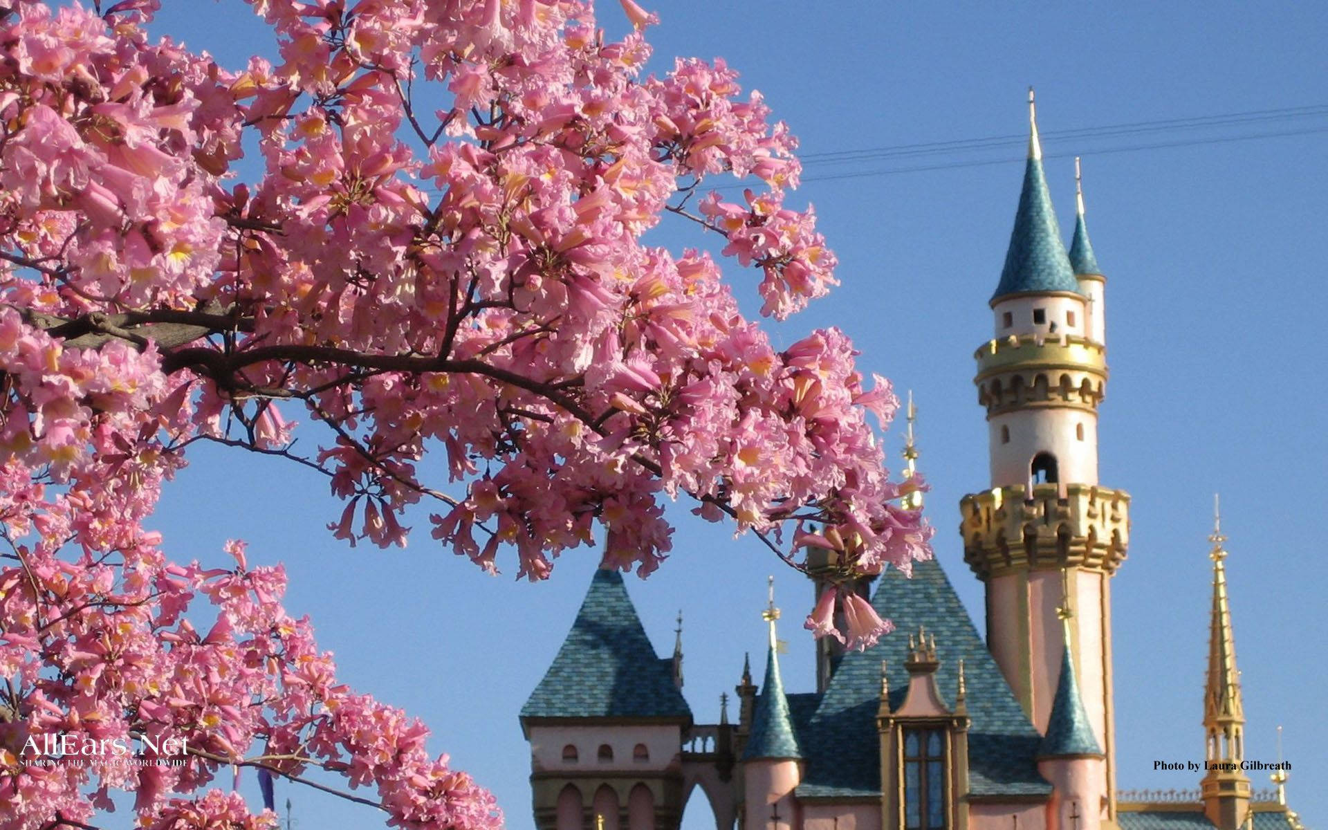 Disney World Castle On Spring Background