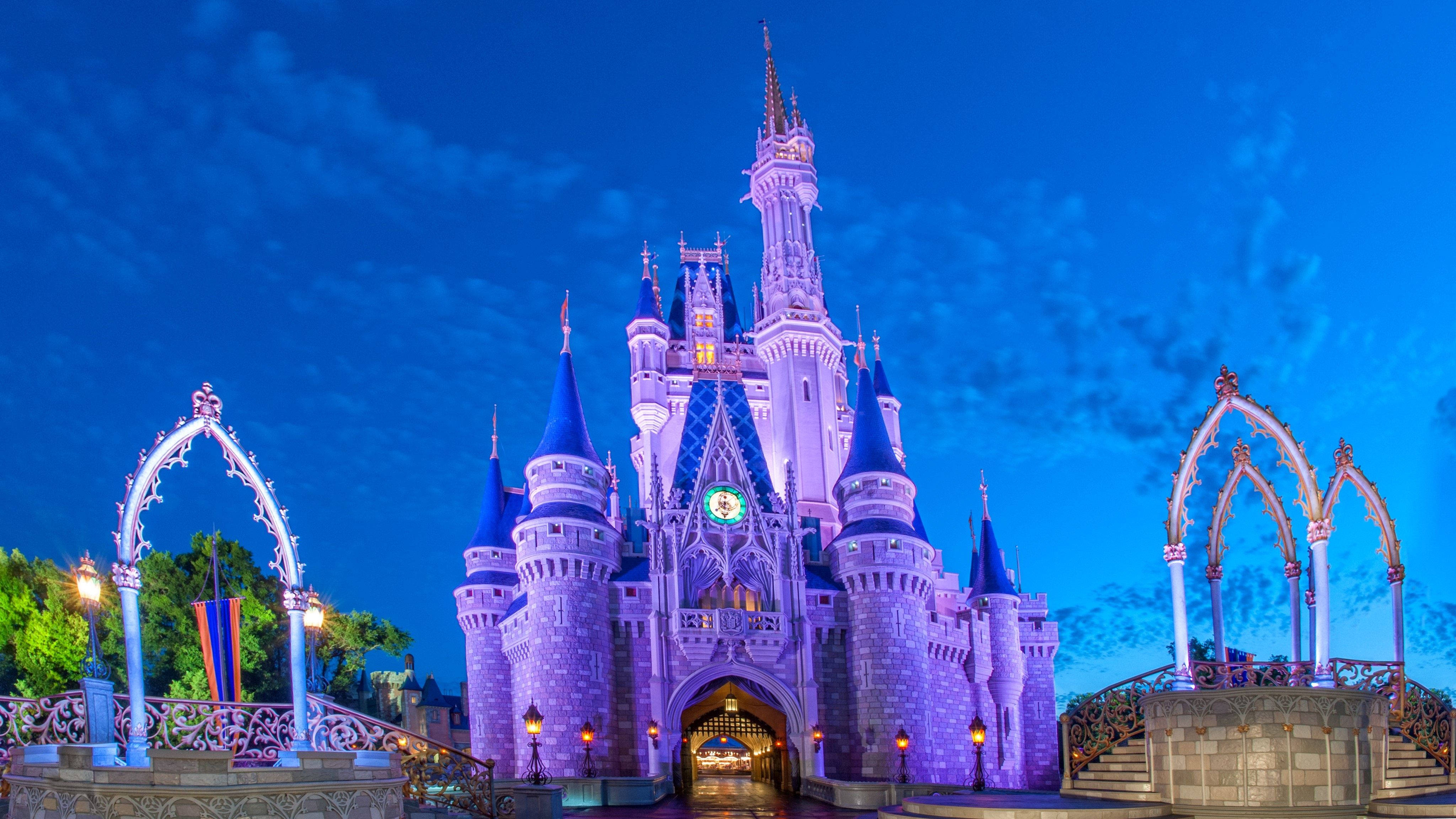 Disney World's Cinderella Castle Background