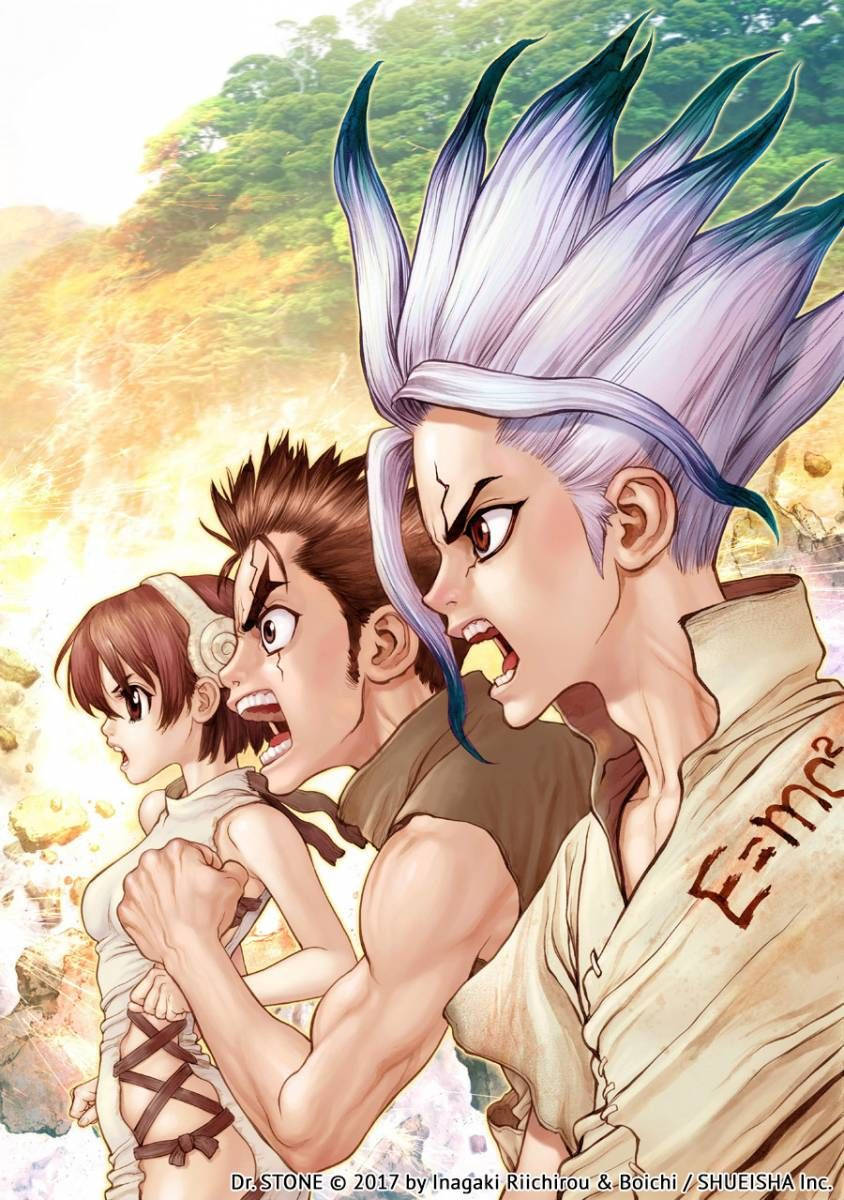 Dr Stone Colleagues Background
