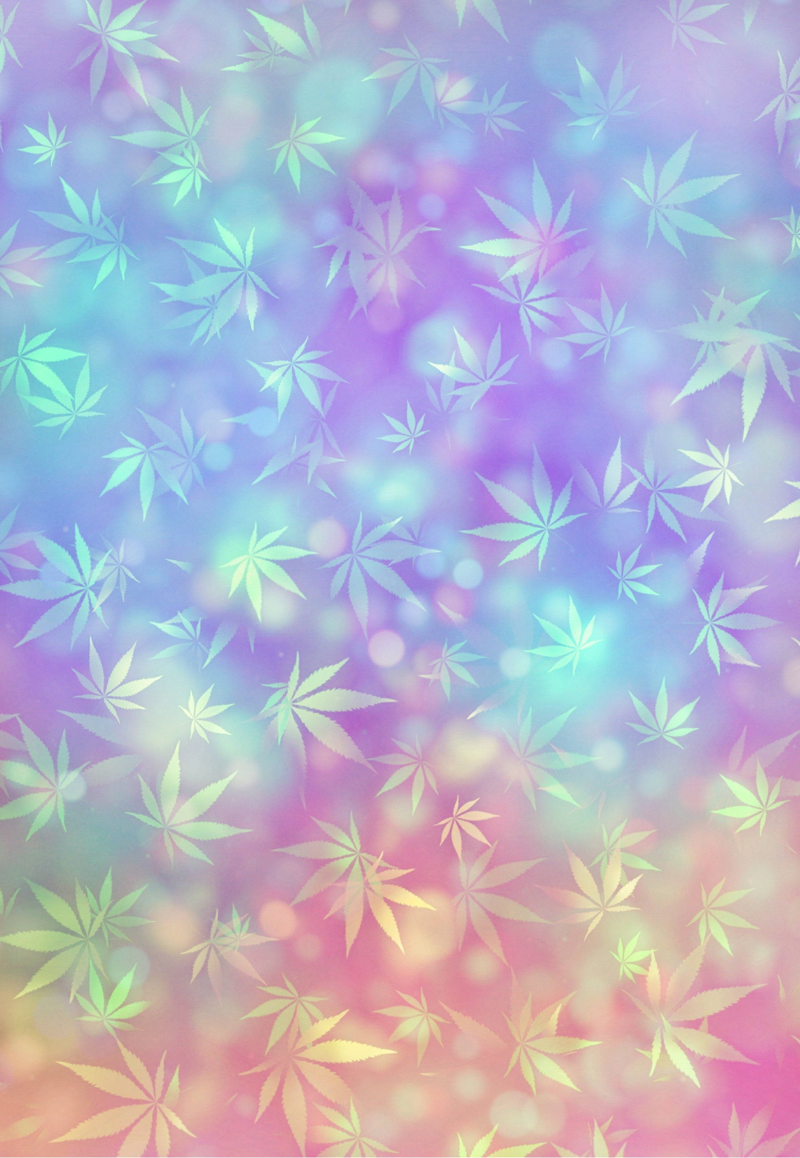 Download Dreamy Weed Leaves For Iphone Wallpaper 