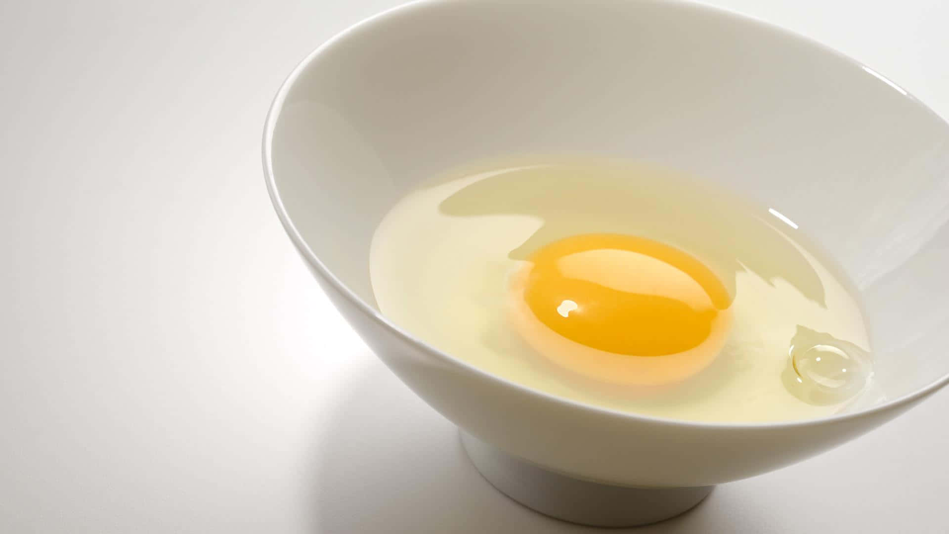 В яичном белке вода. Тарелка для яиц. Яичный белок. Куриный белок. Белок и желток.