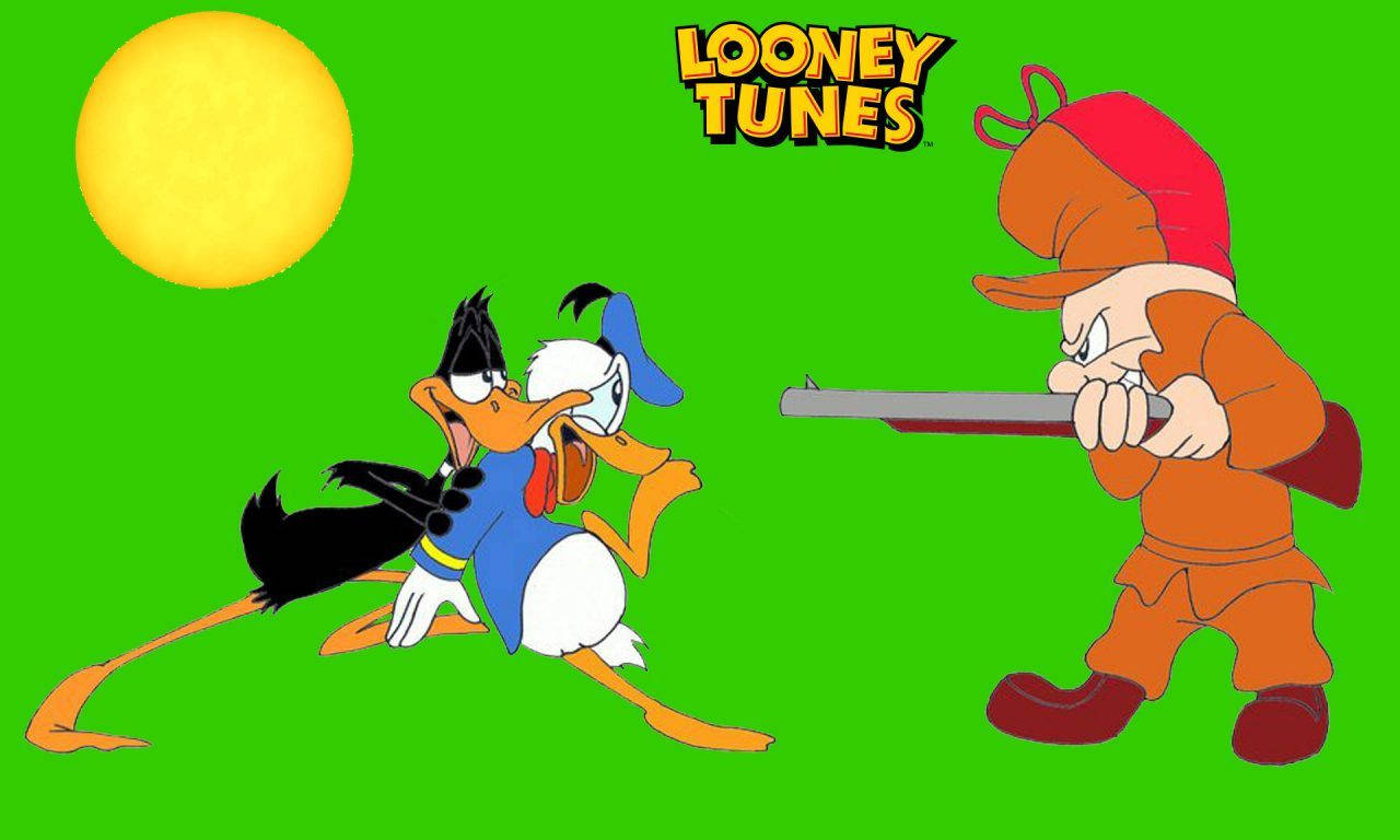 Elmer Fudd, Daffy Duck, Donald Duck Background