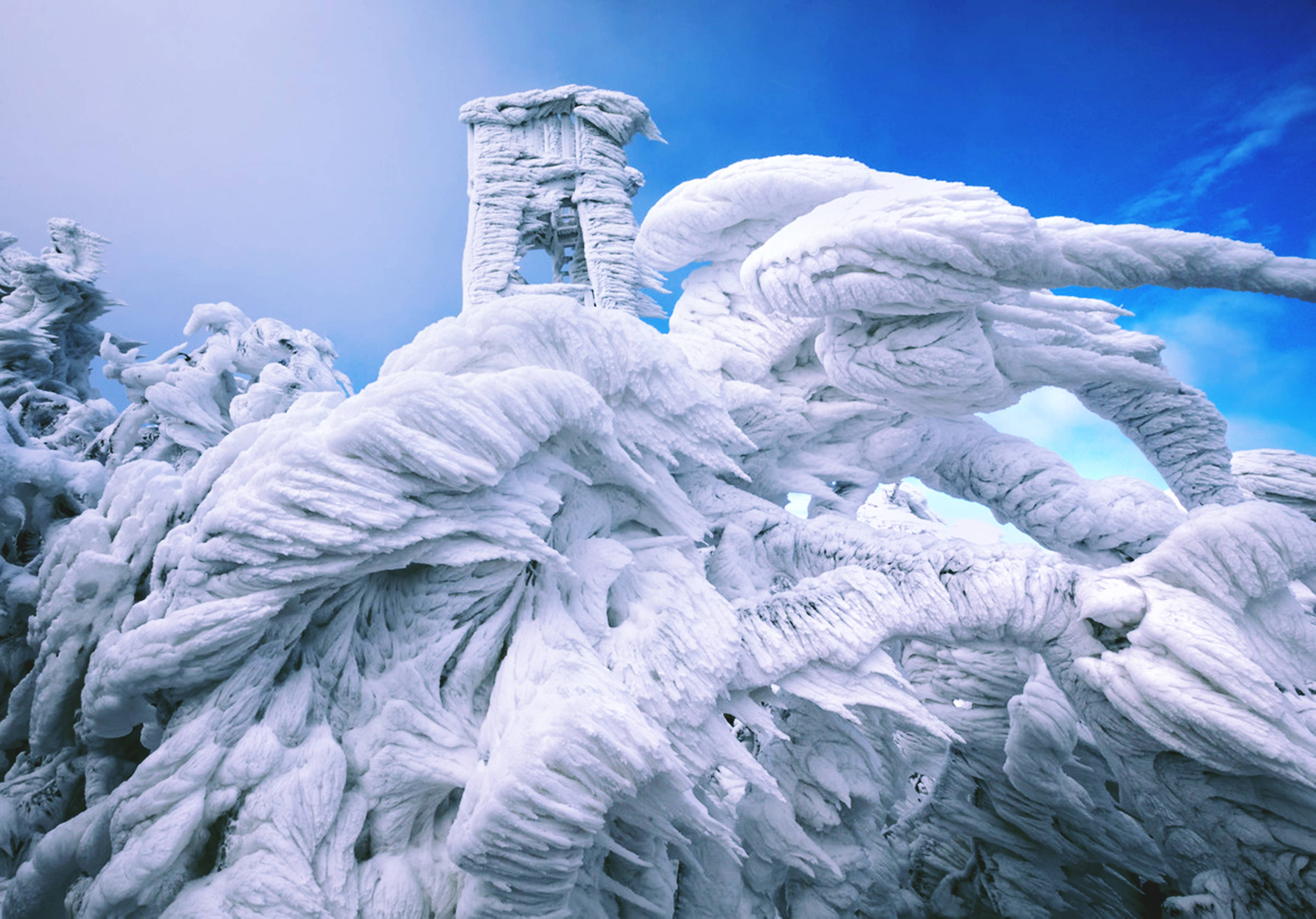 Обычное невероятное. Ледяные образования на вершине горы в Словении. Ледяные скульптуры. Необычные фотографии. Шедевры природы.