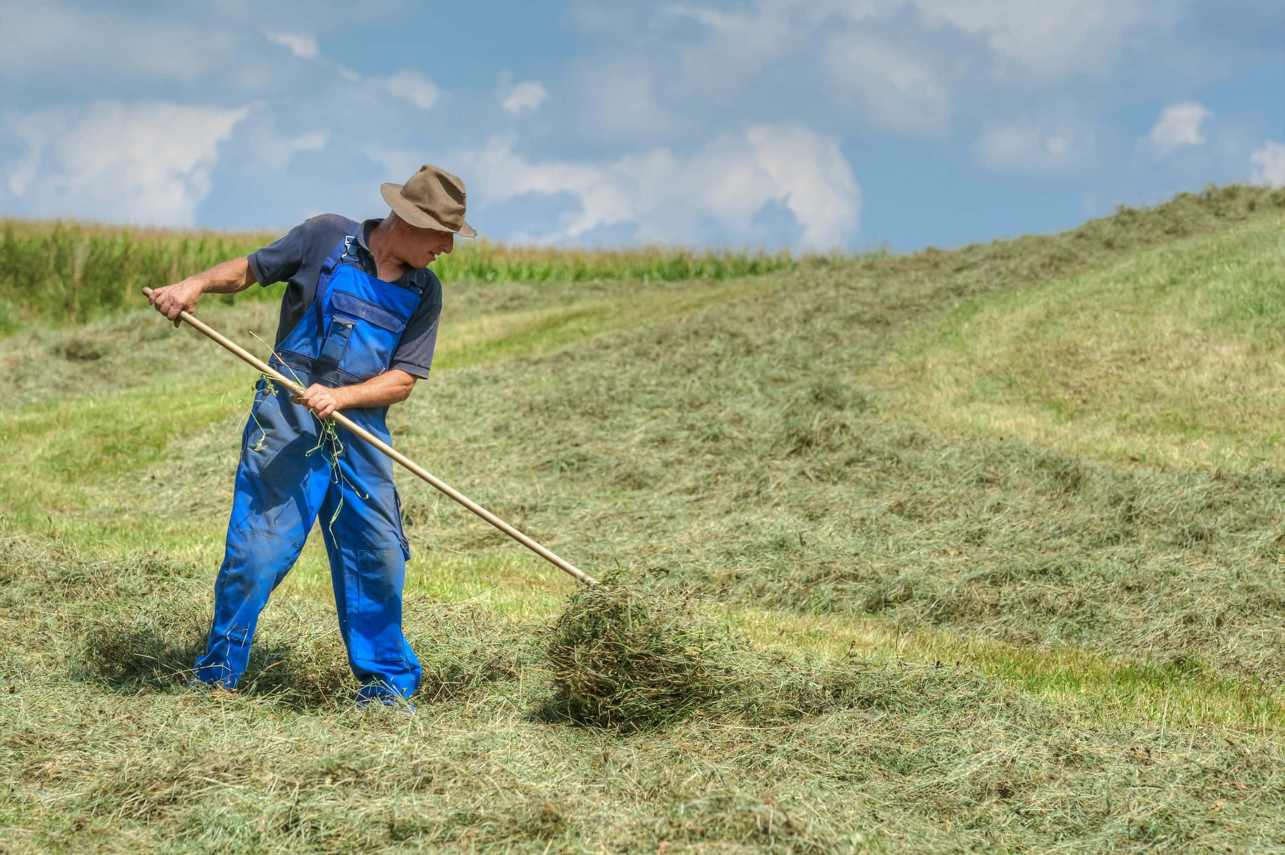 Download Farmer 2560 X 1703 Background | Wallpapers.com