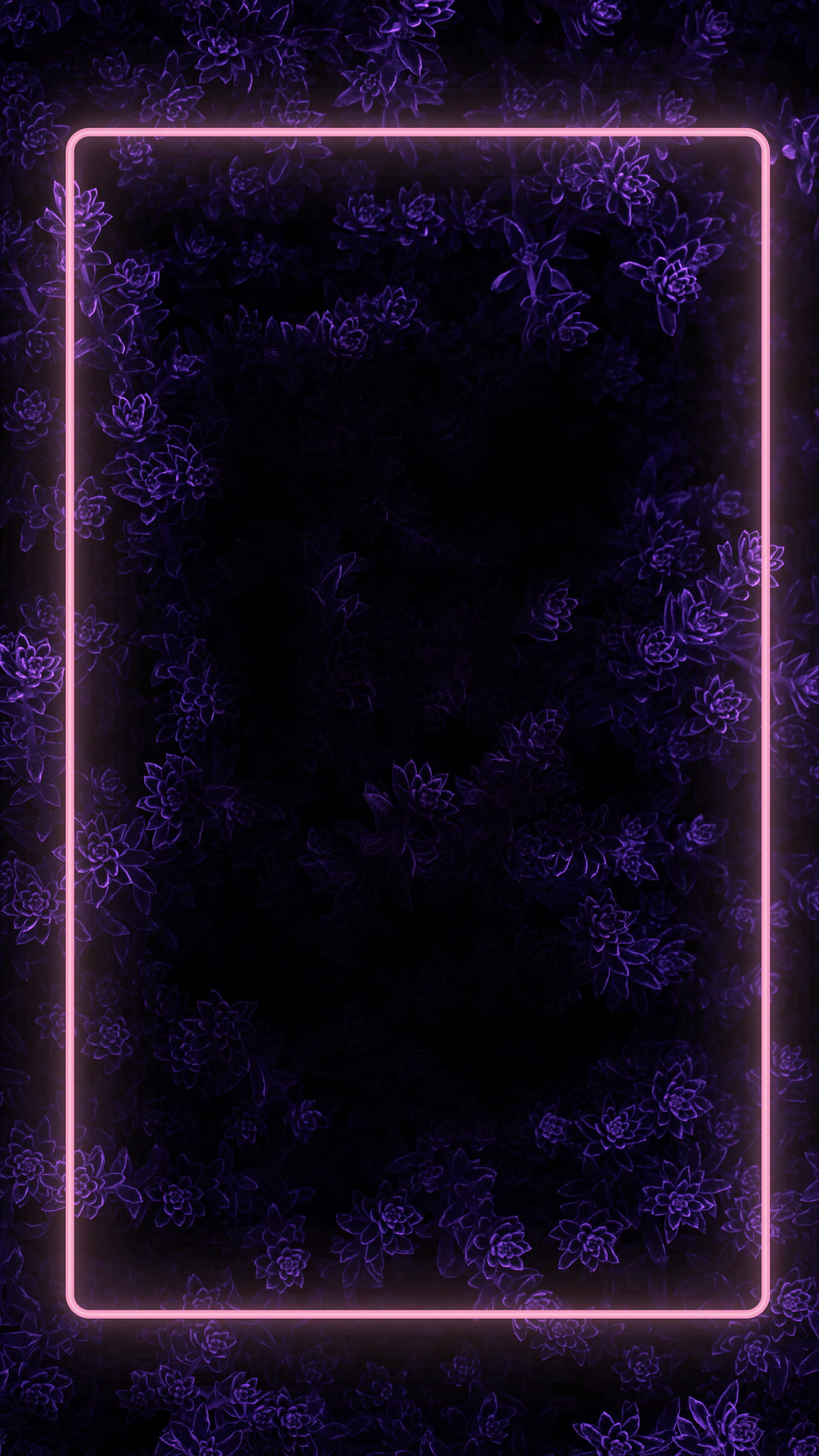 Download Floral Dark Purple With Border Wallpaper 