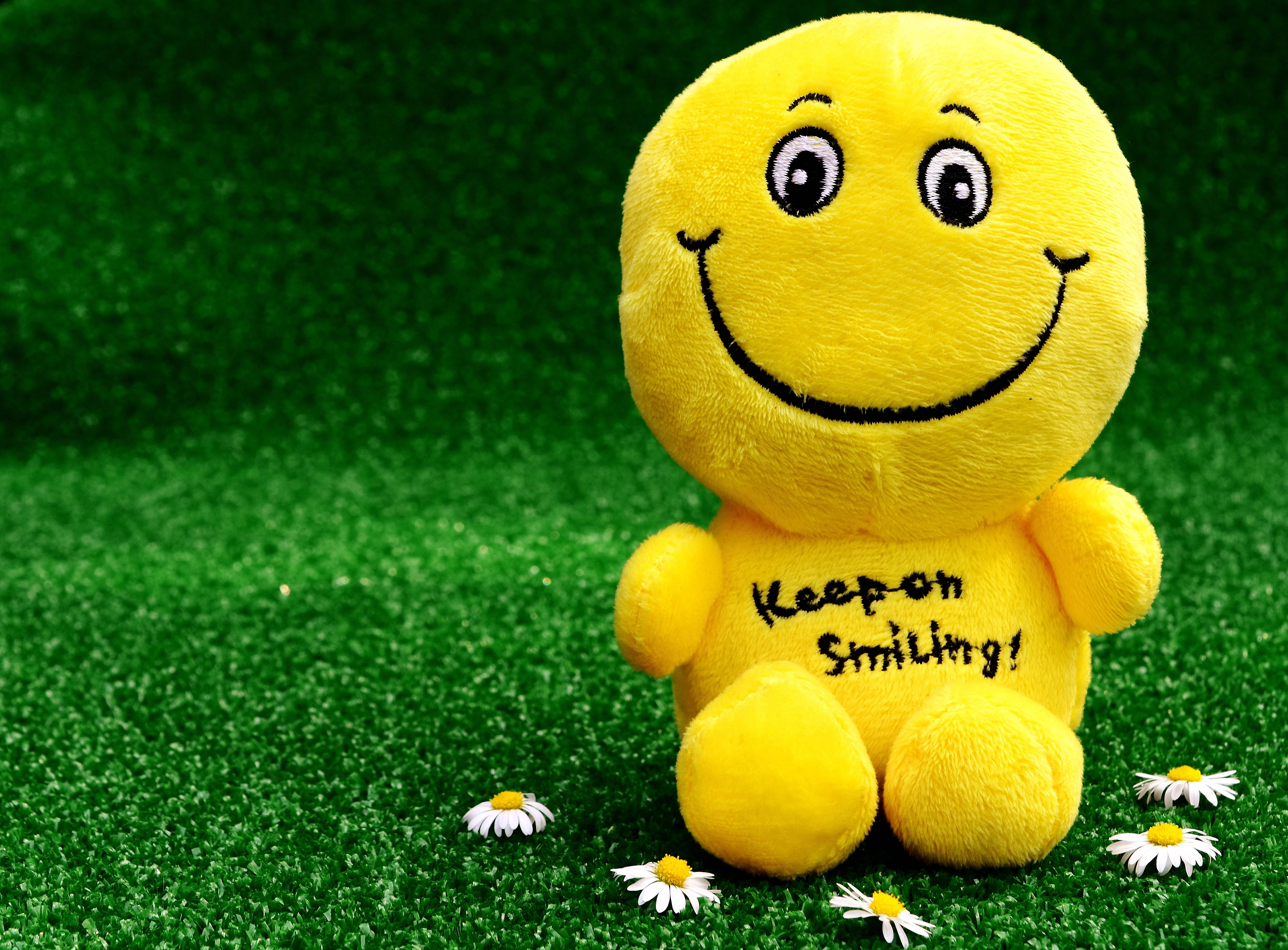 Fluffy Stuffed Happy Smiley Toy Background