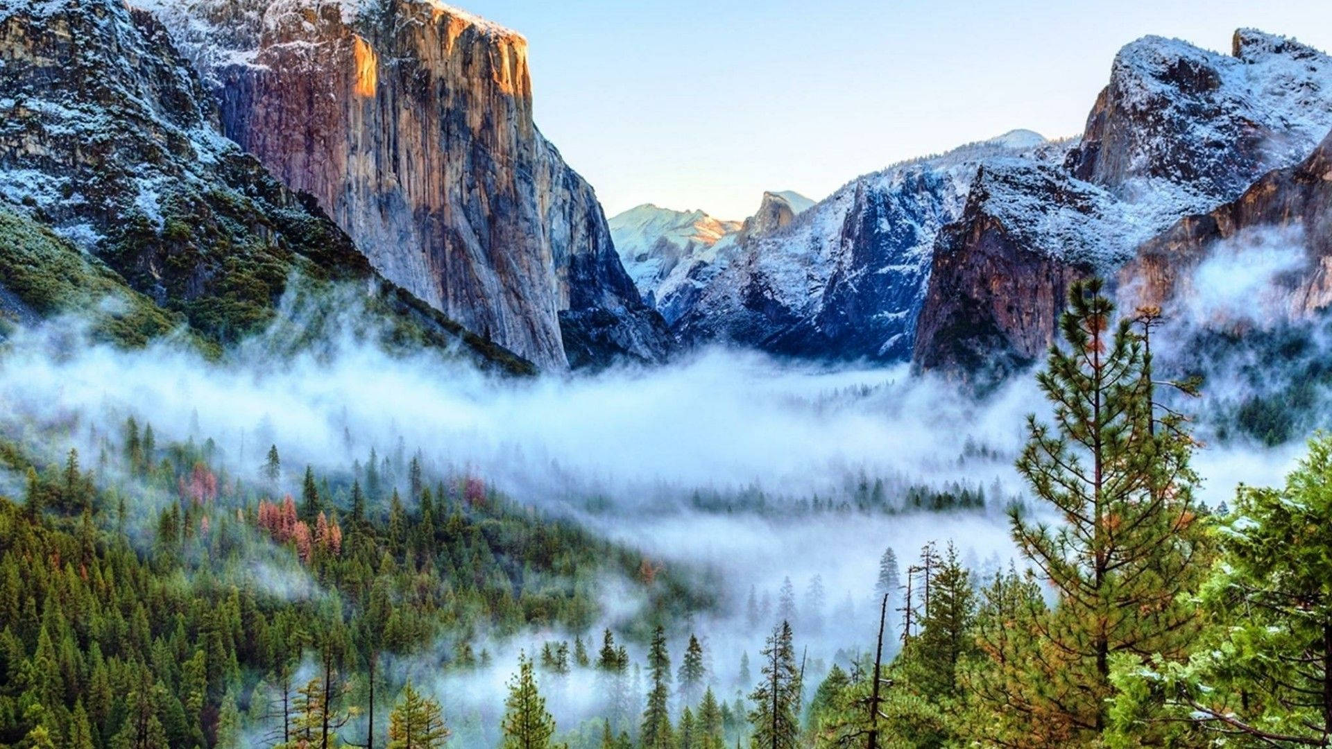 Foggy Yosemite National Park Background