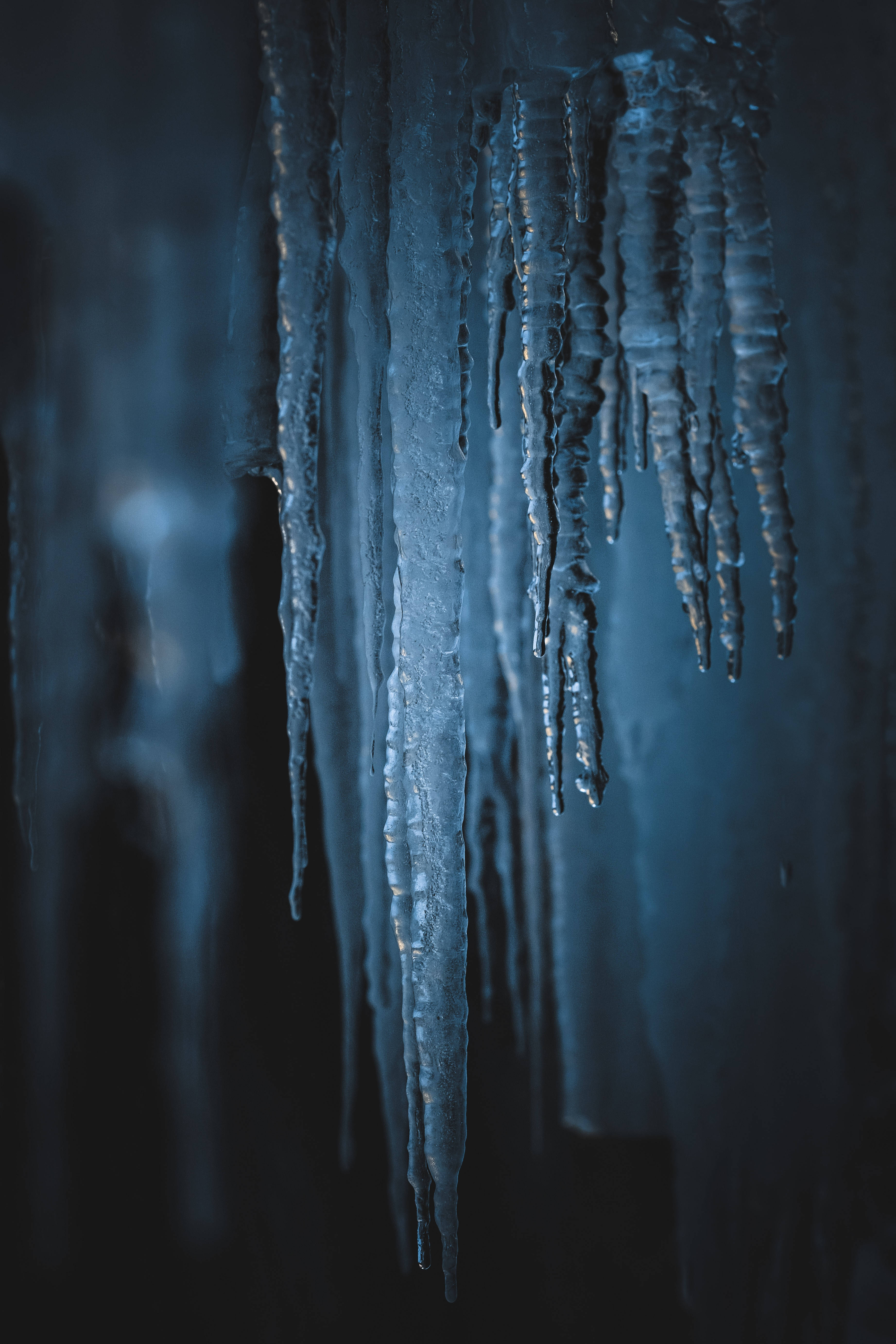Frozen Icicles In Dark Background