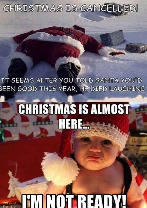 Download Funny Christmas Pictures | Wallpapers.com