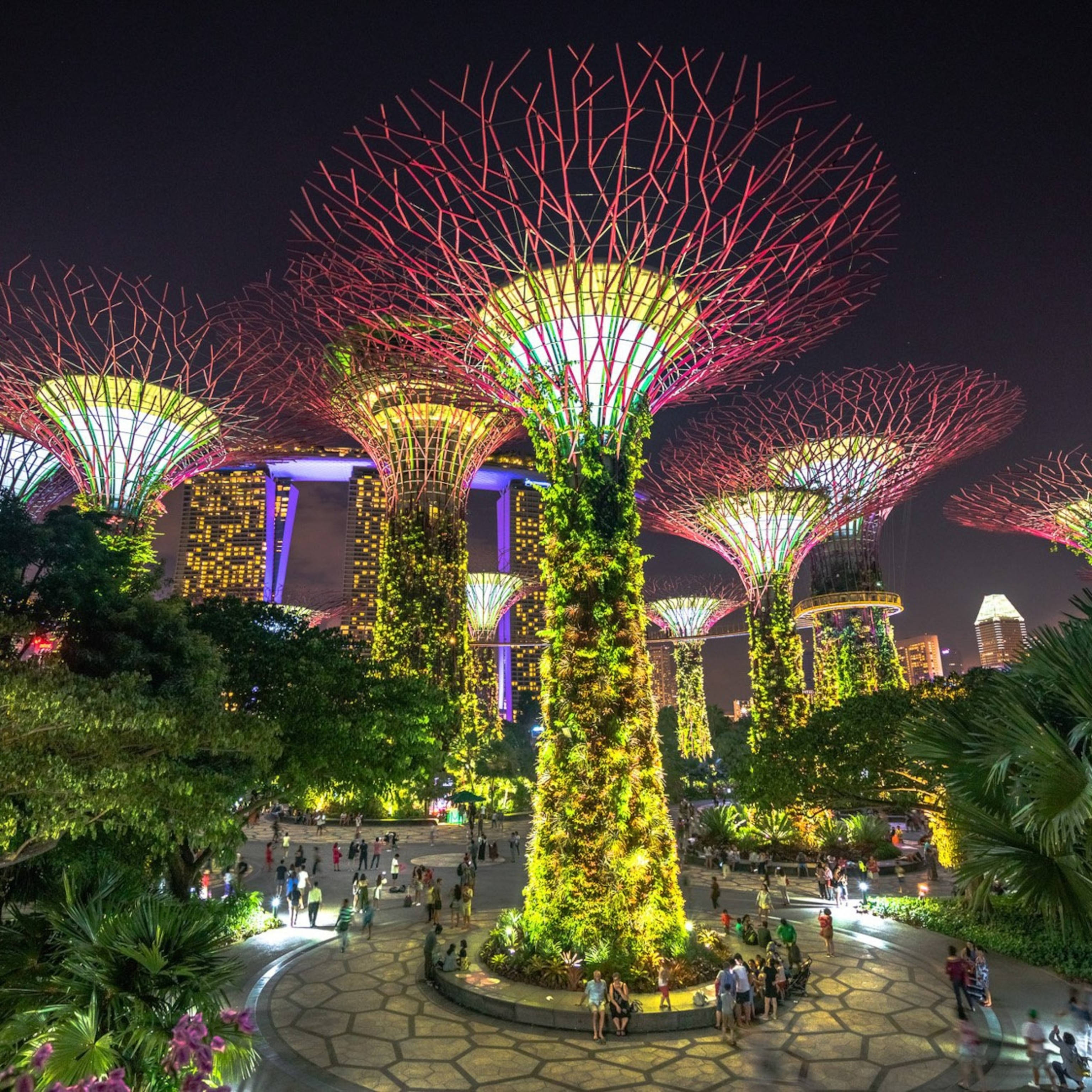 Download Gardens By The Bay Singapore City At Night Wallpaper ...