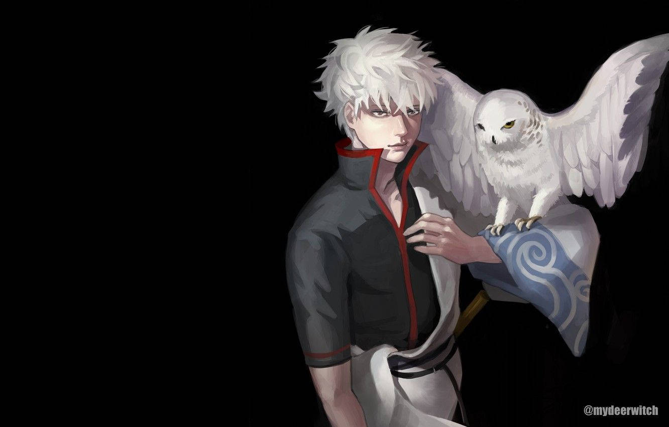 Gintama Gintoki With An Owl Background