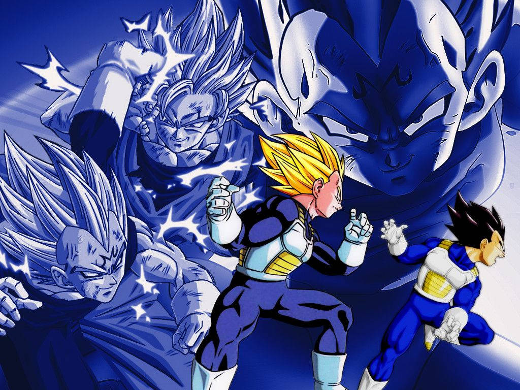 Goku And Vegeta In Saiyan Armor Background