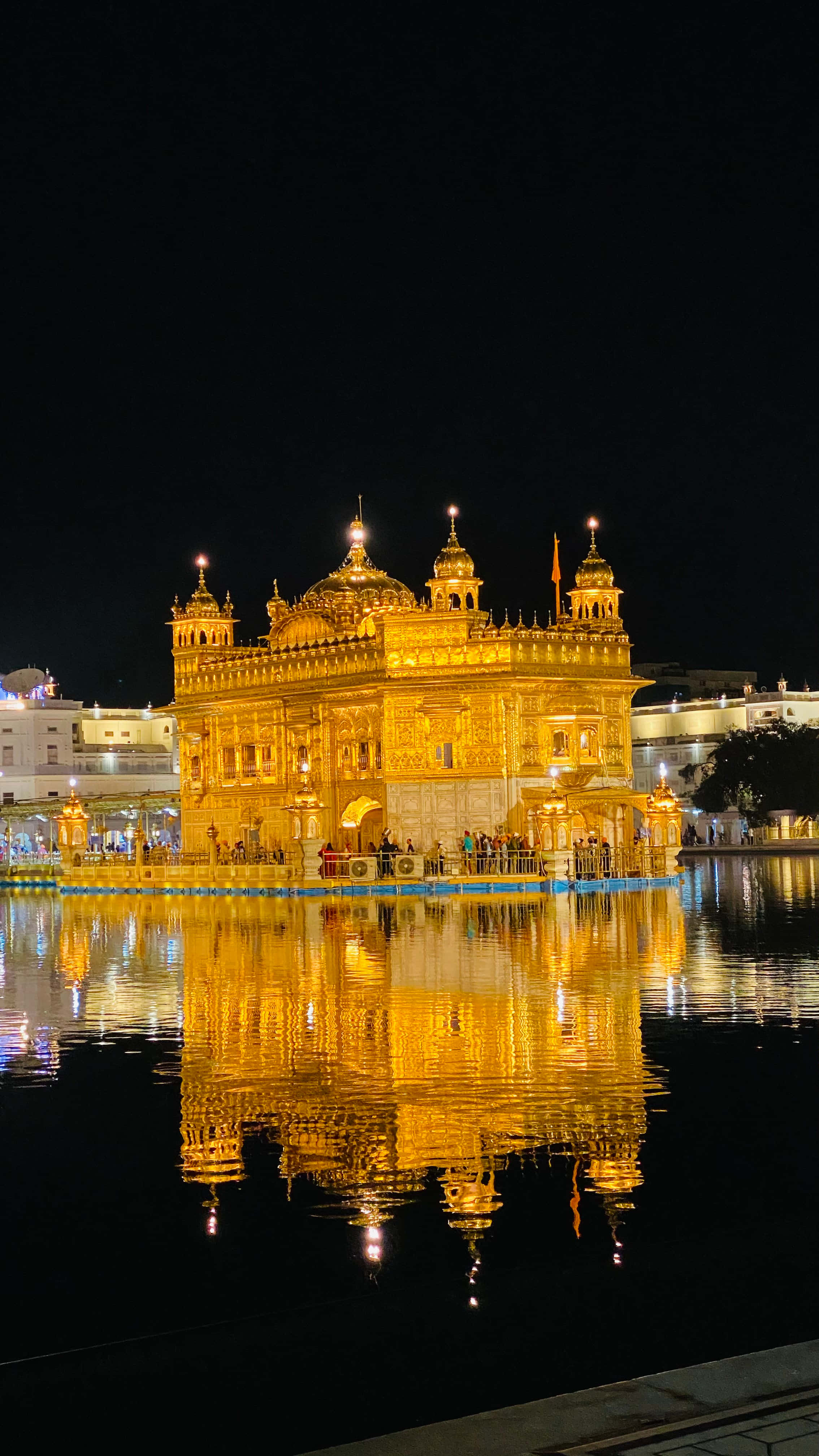 Download Golden Temple With Lights On Wallpaper | Wallpapers.com