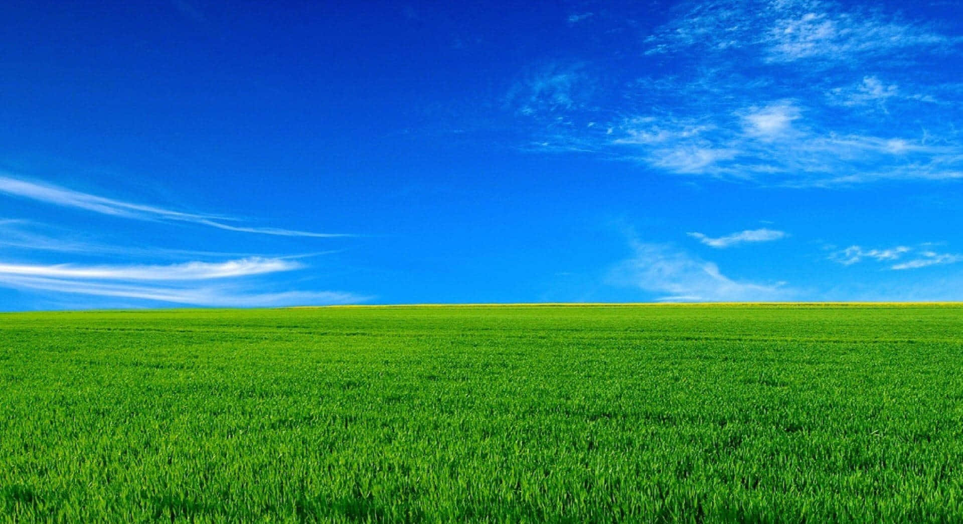 Download Serene Landscape Of Grass And Sky