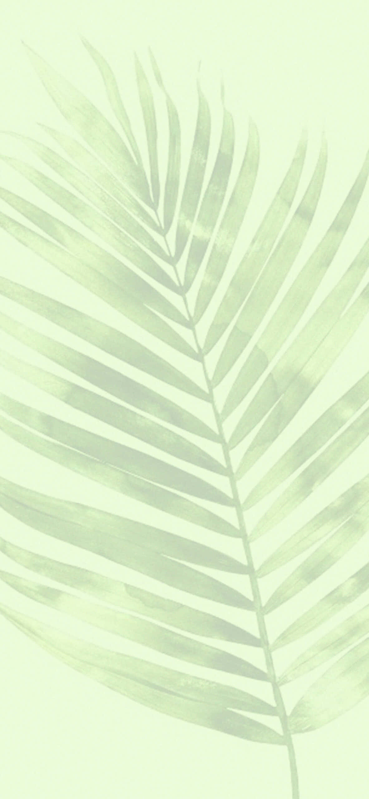 Download Green Aesthetic Background | Wallpapers.com