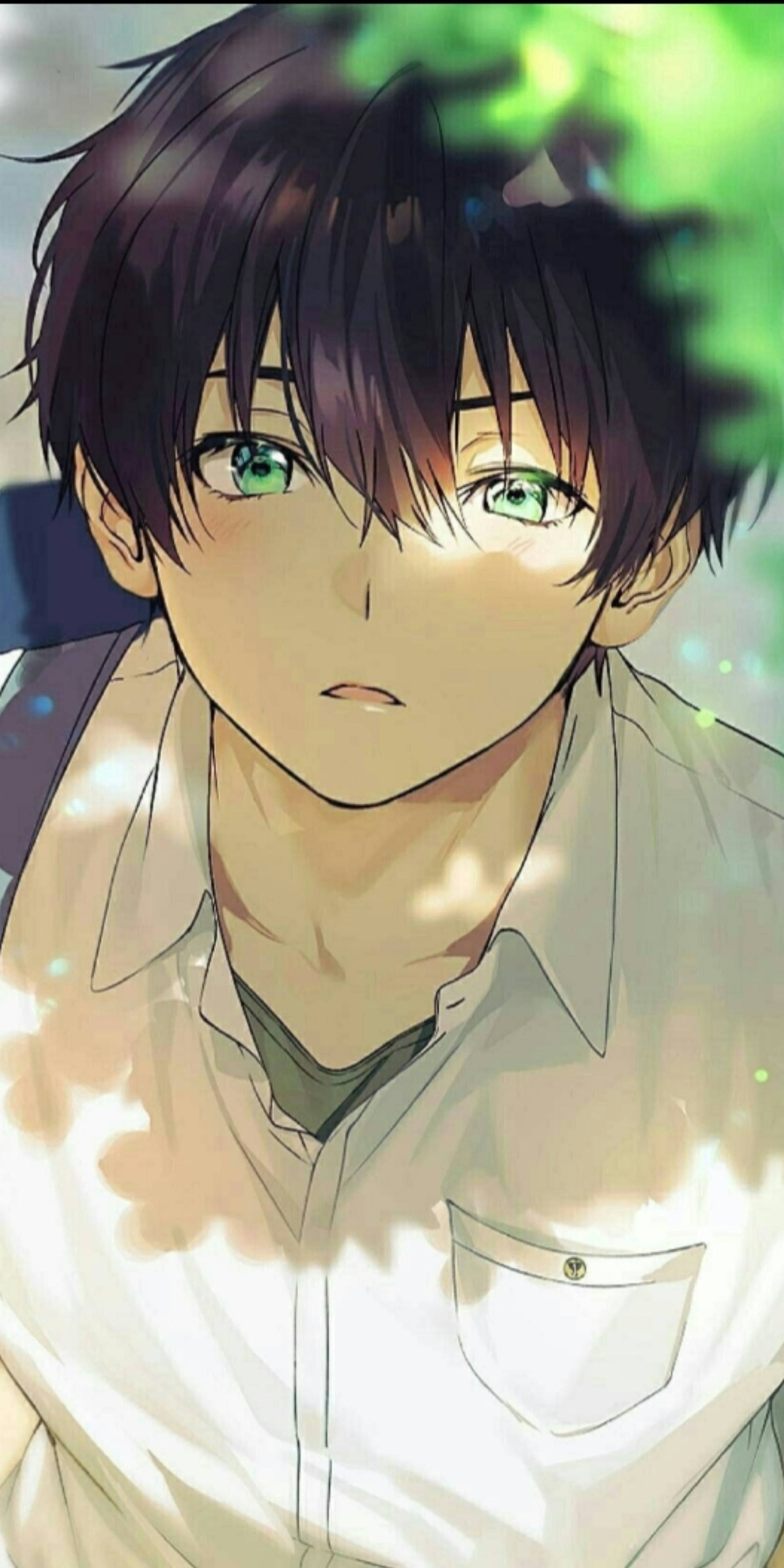 Download Green-eyed Aesthetic Anime Boy Wallpaper 