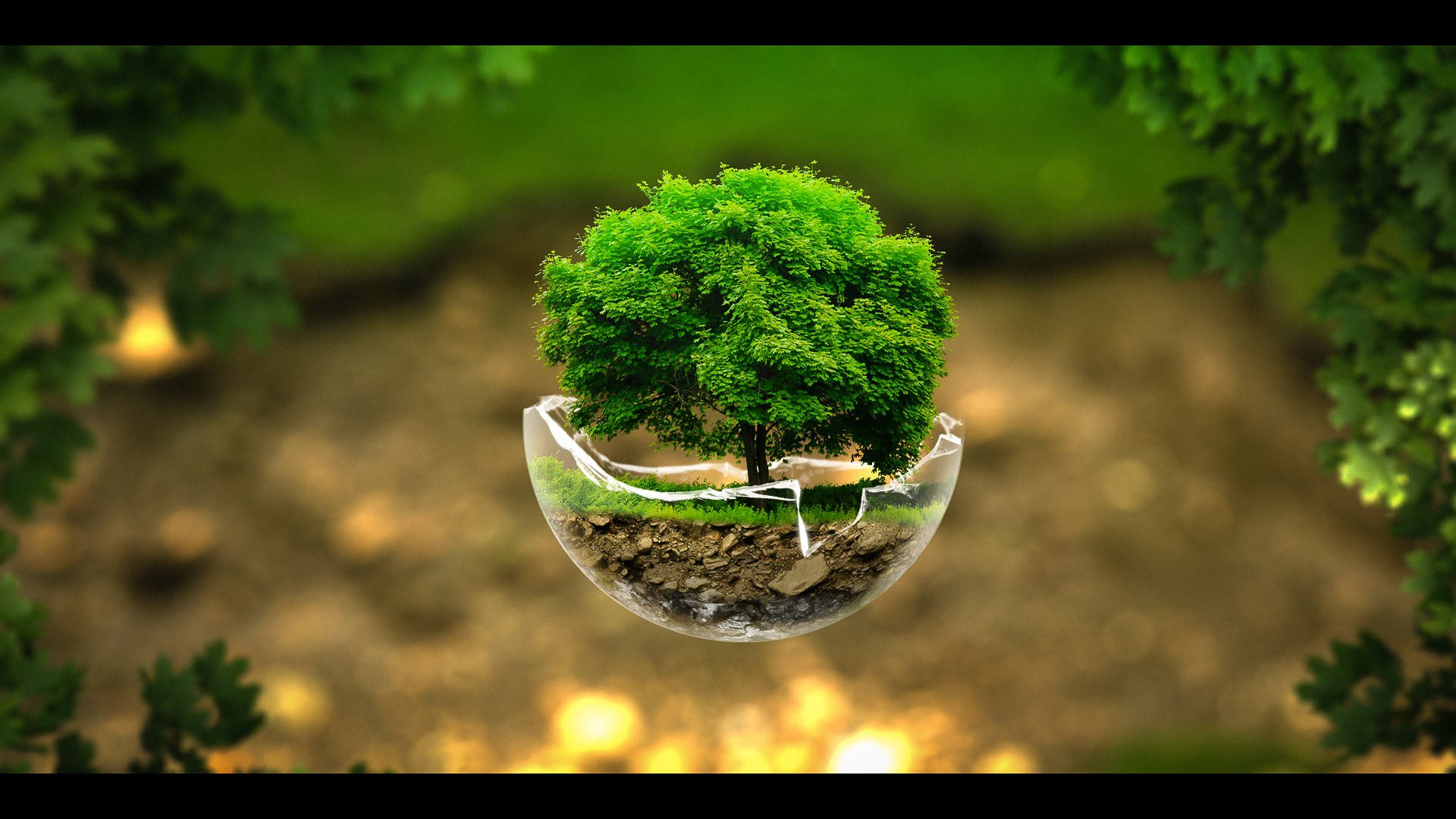 Green Tree Glass Background