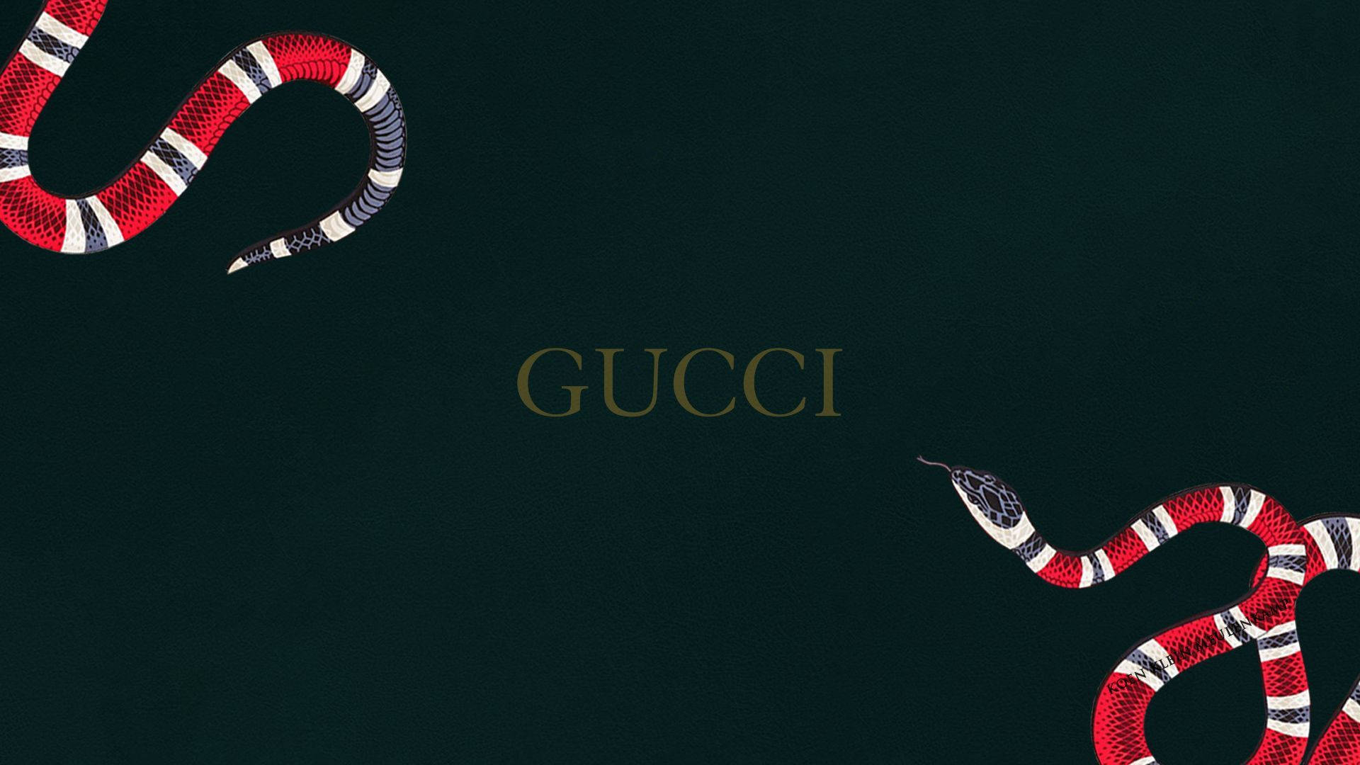 Gucci Snakes On A Black Background Background