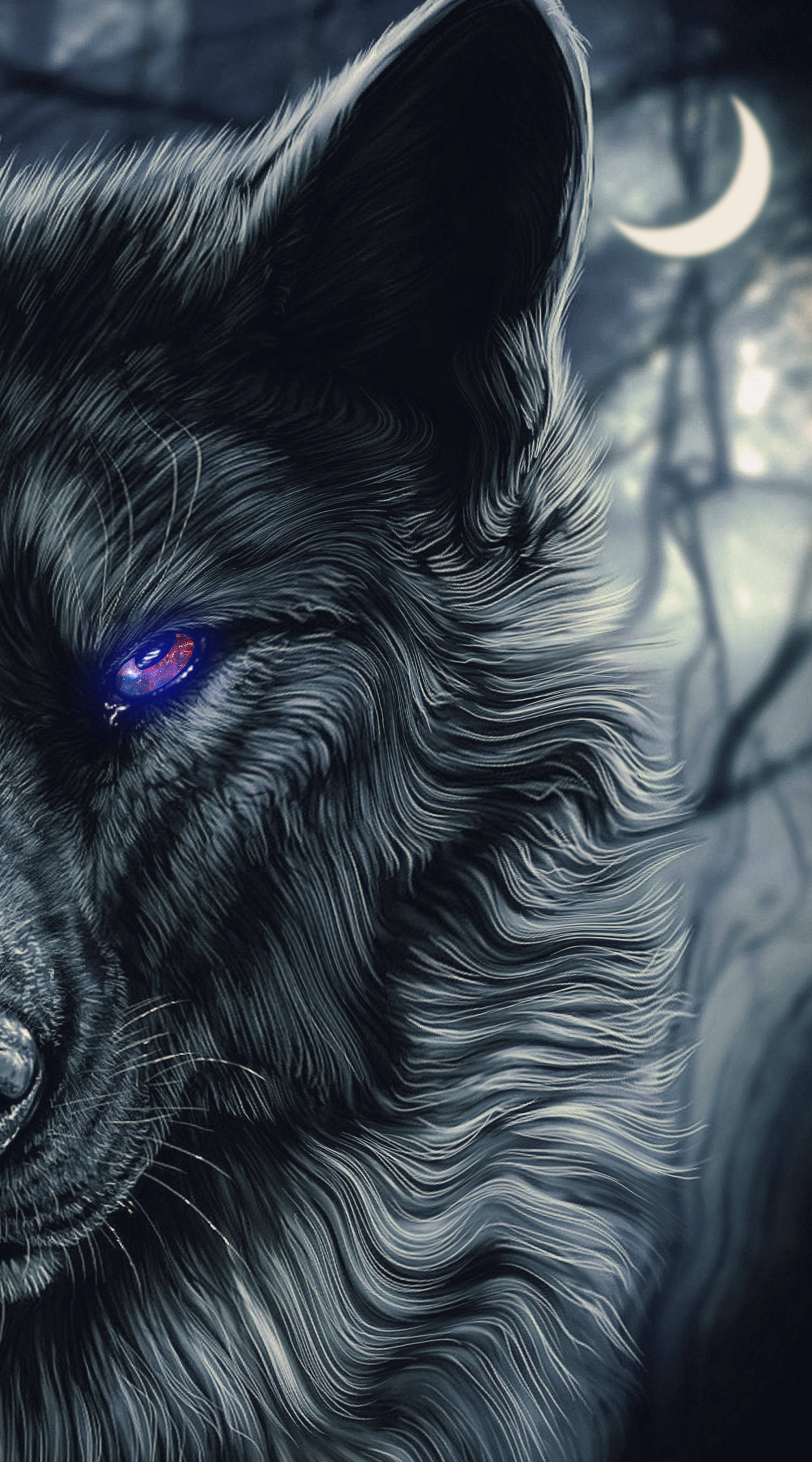 black wolf wallpaper