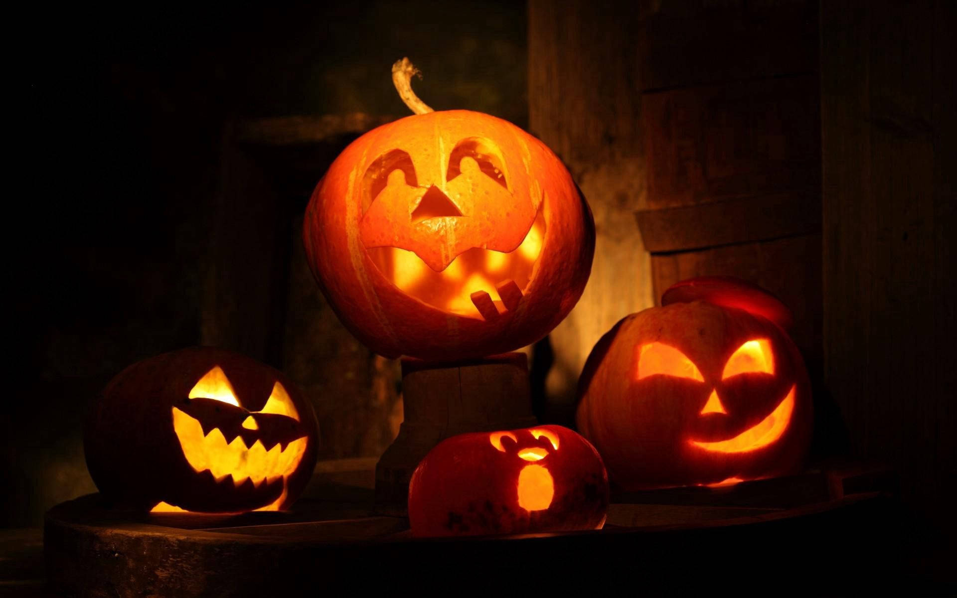 Halloween Pumpkins Trick Or Treat Background