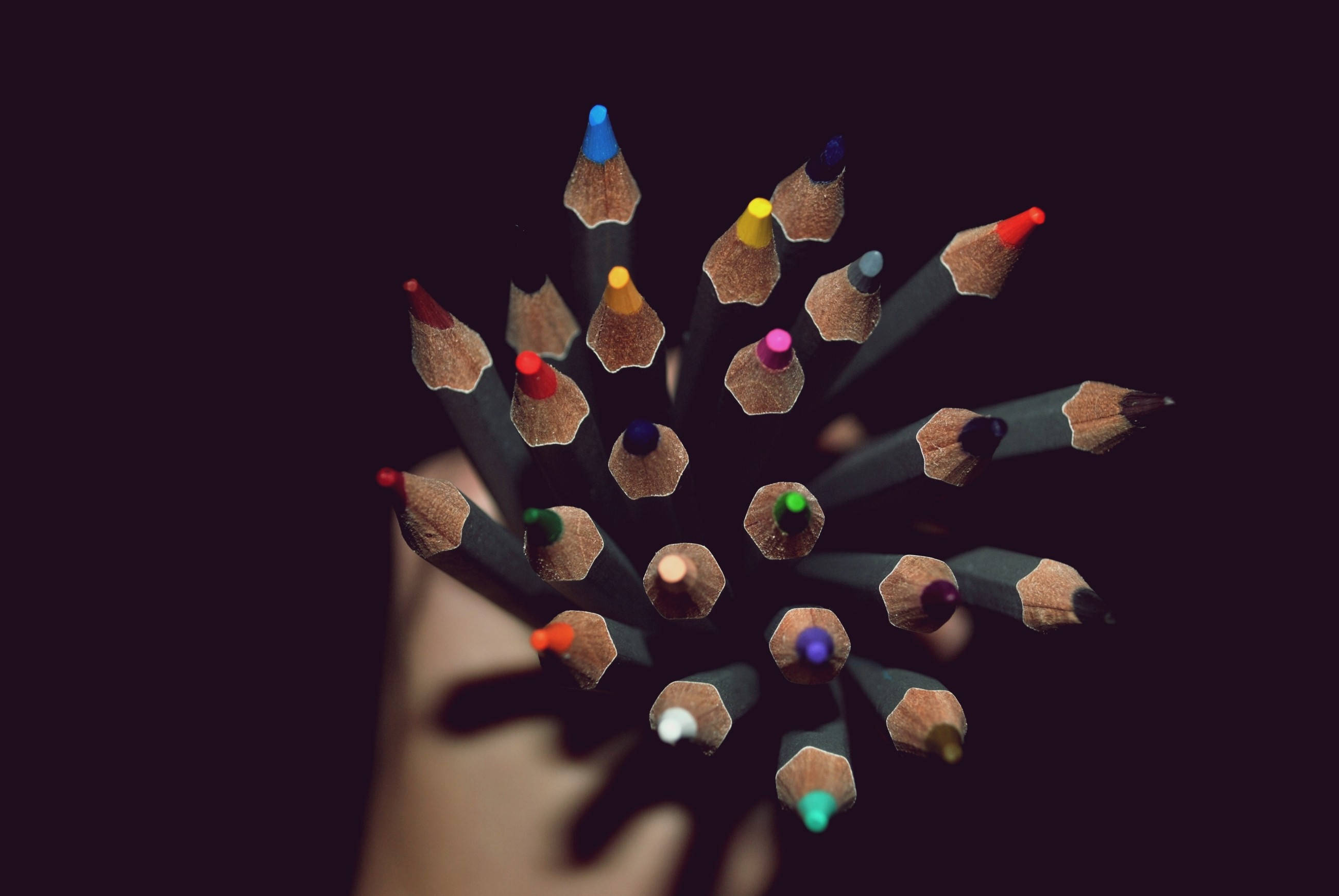 Hand Holding Color Pencils Background