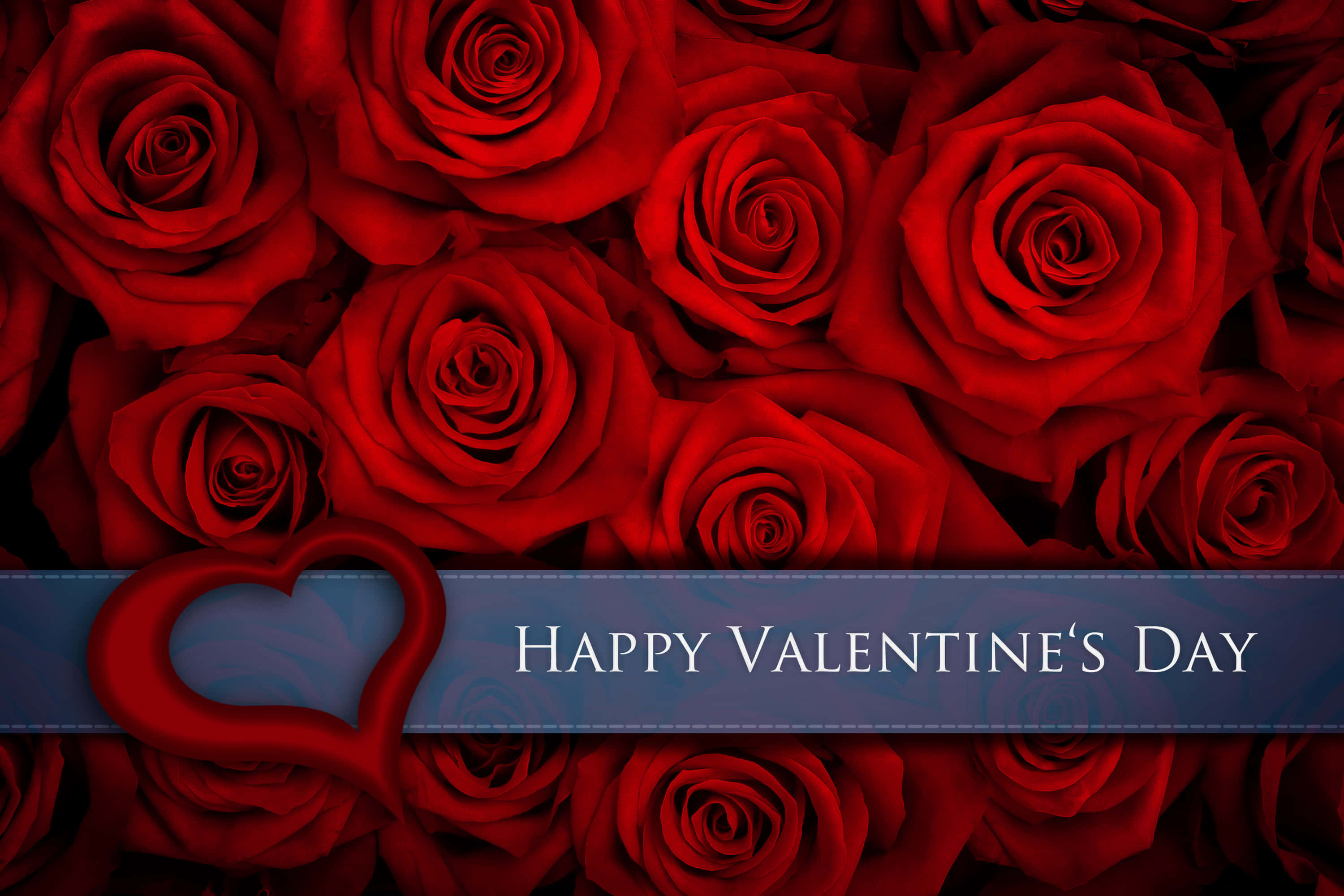 Download Happy Valentines Pictures | Wallpapers.com