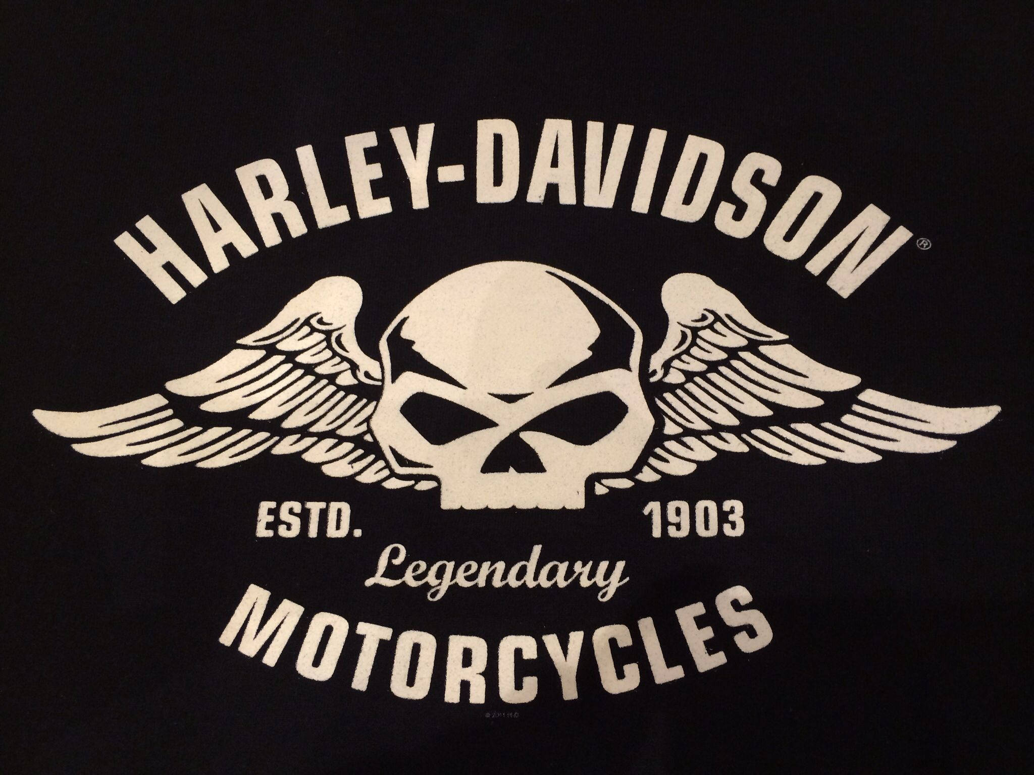 Download Harley Davidson Logo Winged Skull Wallpaper 