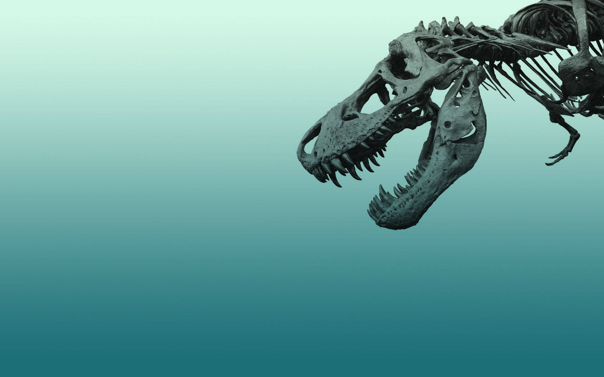 Hd Blue Aesthetic Skeletal Dinosaur Background