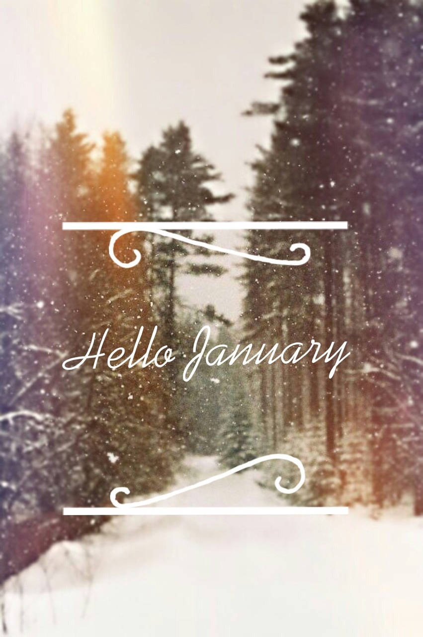 Download Januar Wallpaper Helt Gratis, [200+] Januar Wallpapers helt GRATIS  Wallpapers.com