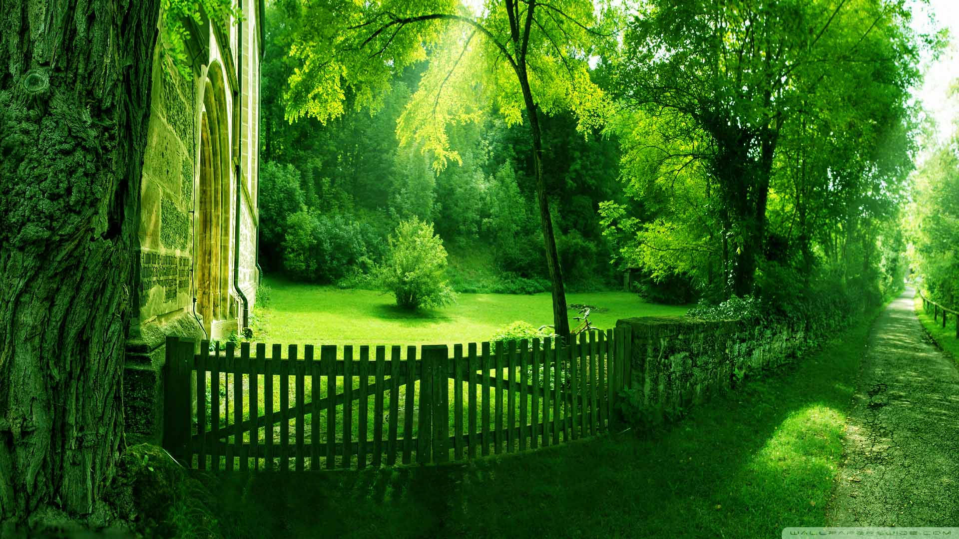 High Resolution Fenced Backyard Background