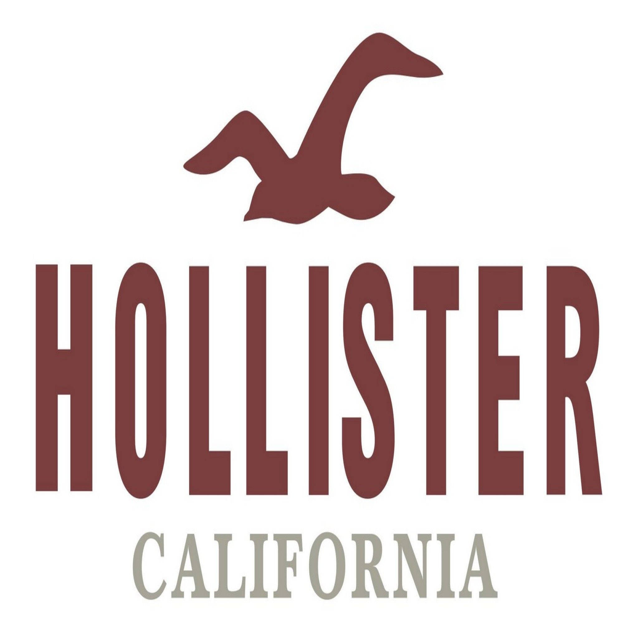 Download Hollister Classic Logo Wallpaper | Wallpapers.com