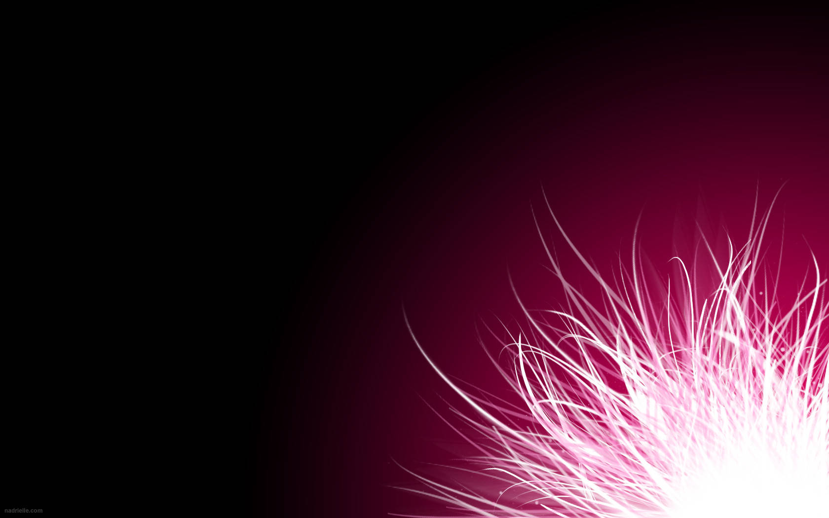 Download Hot Pink Glowing Flower Wallpaper