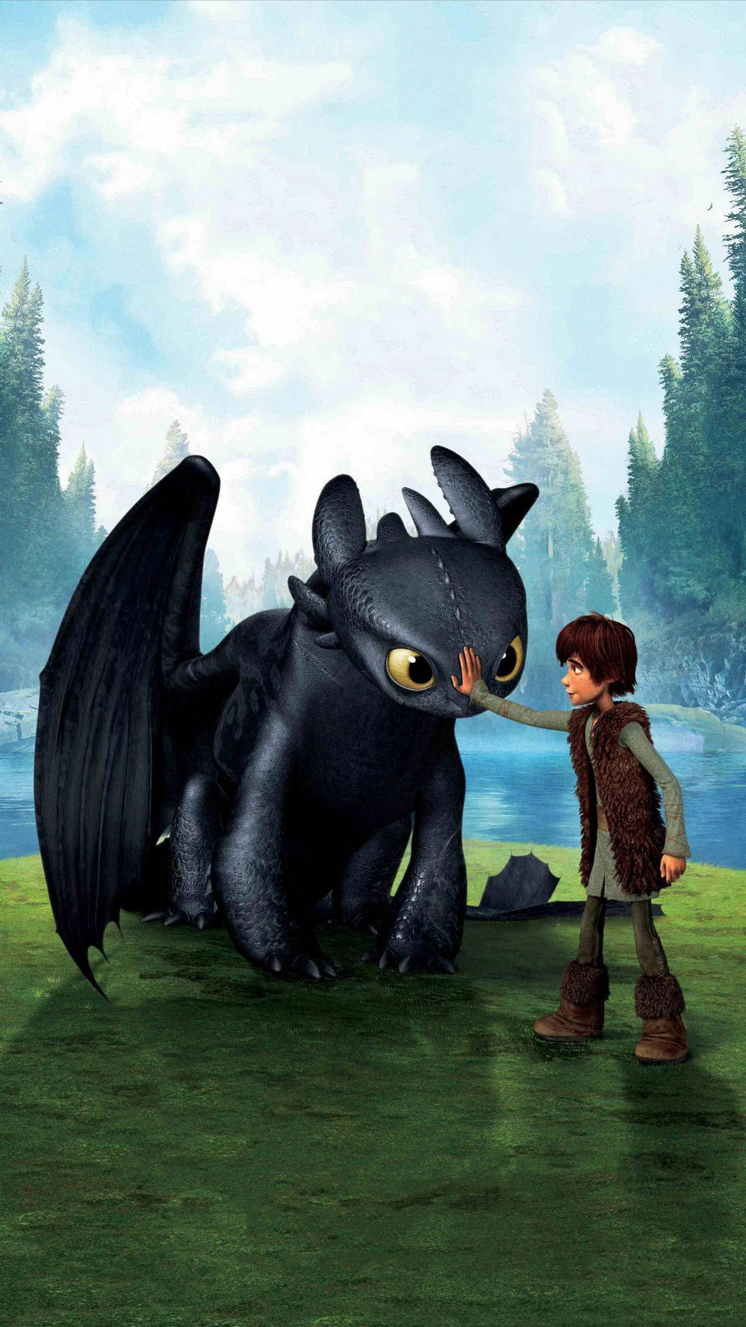How To Train Your Dragon 1 Graphic Art Background