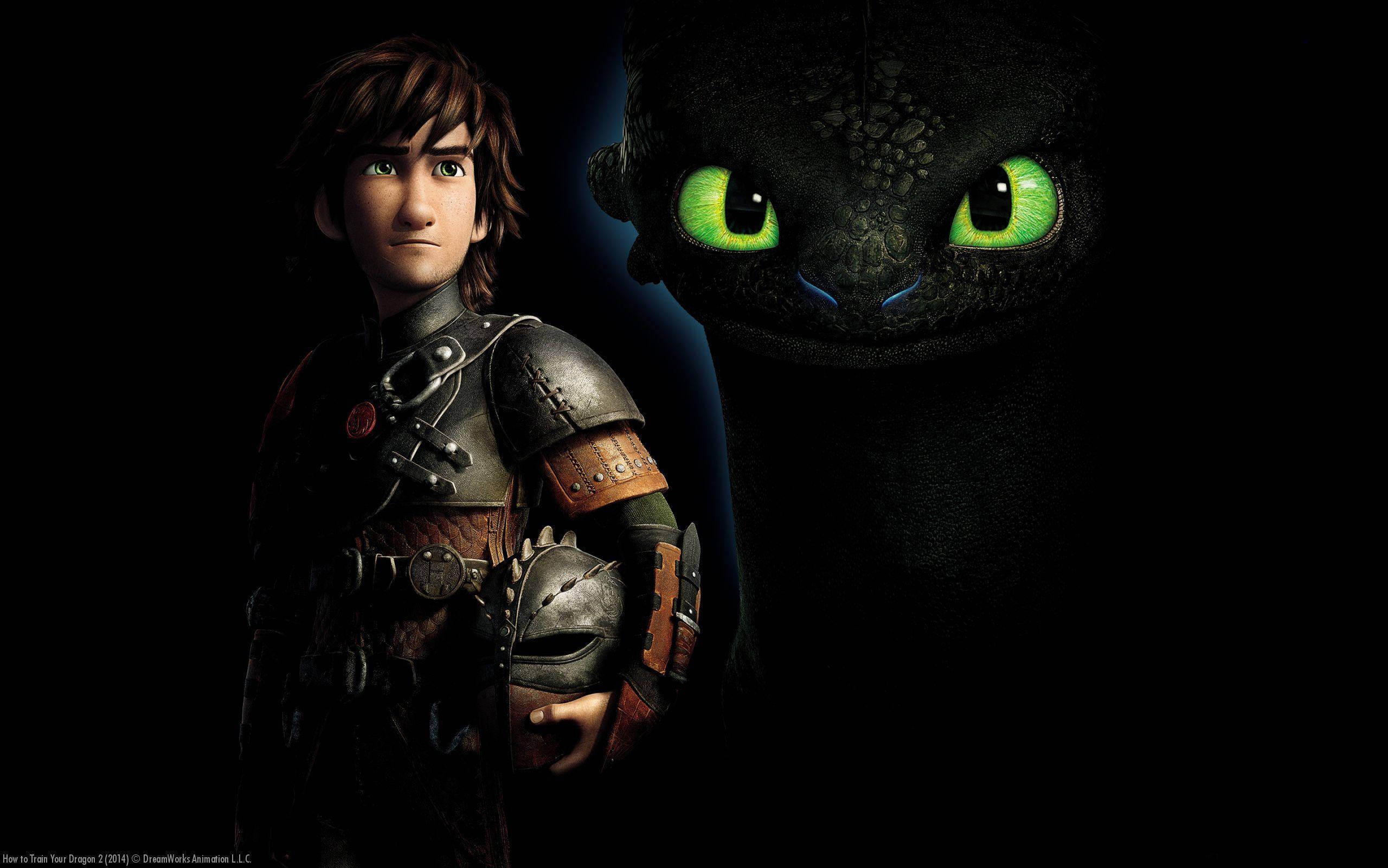 How To Train Your Dragon On Black Background Background