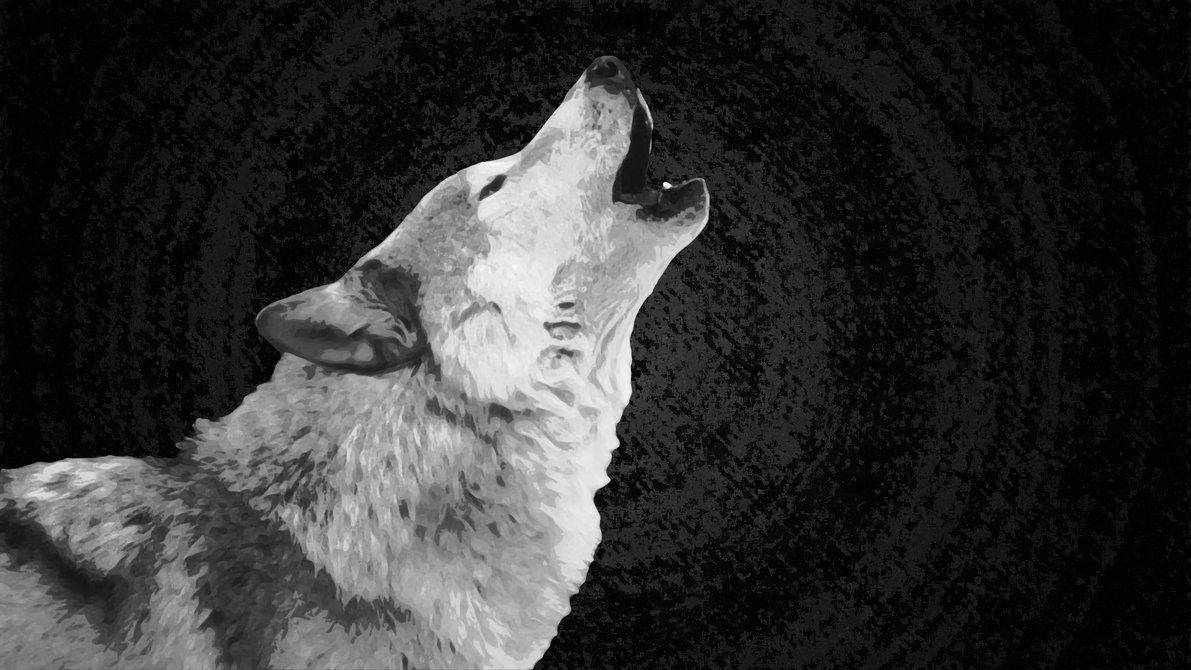 Howling White Wolf Background