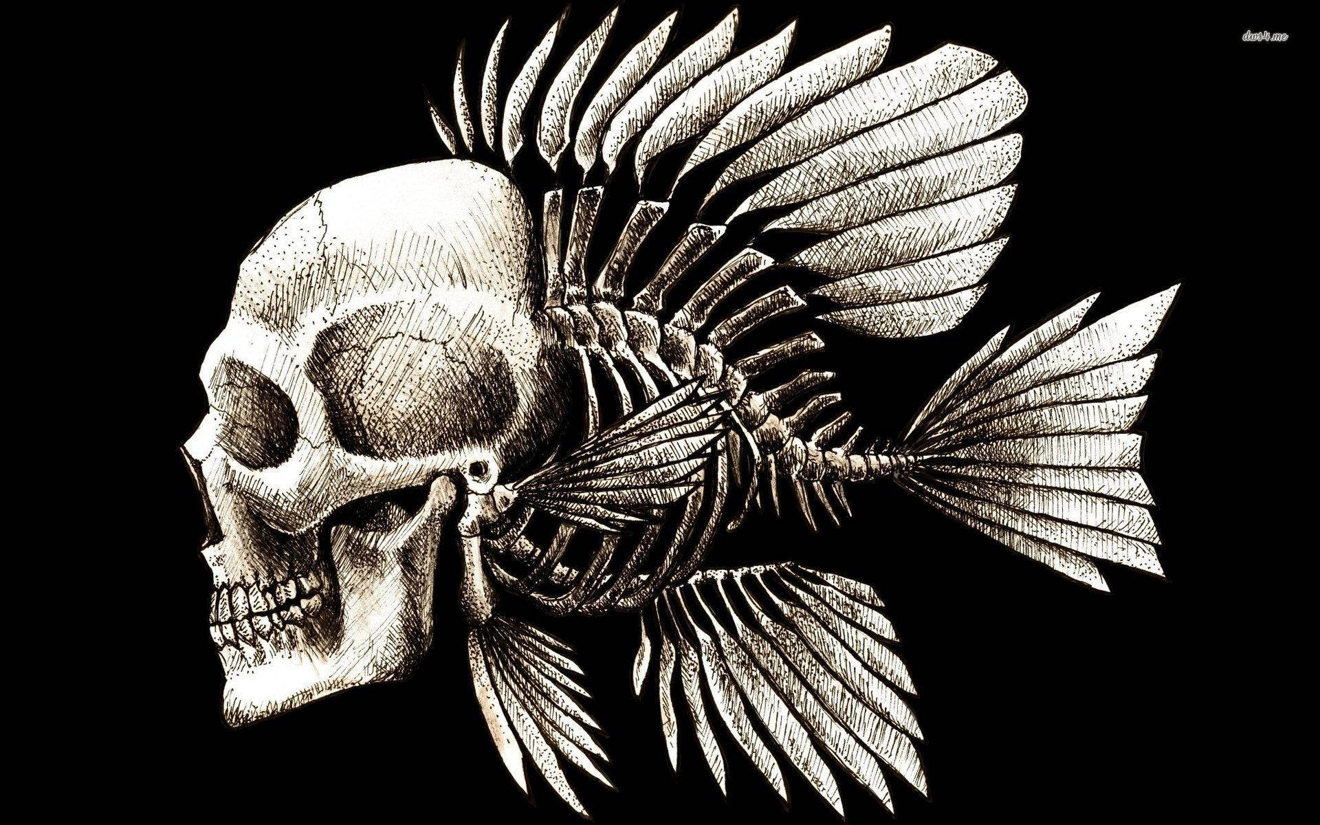 Human Skull With Fish Skeleton Background
