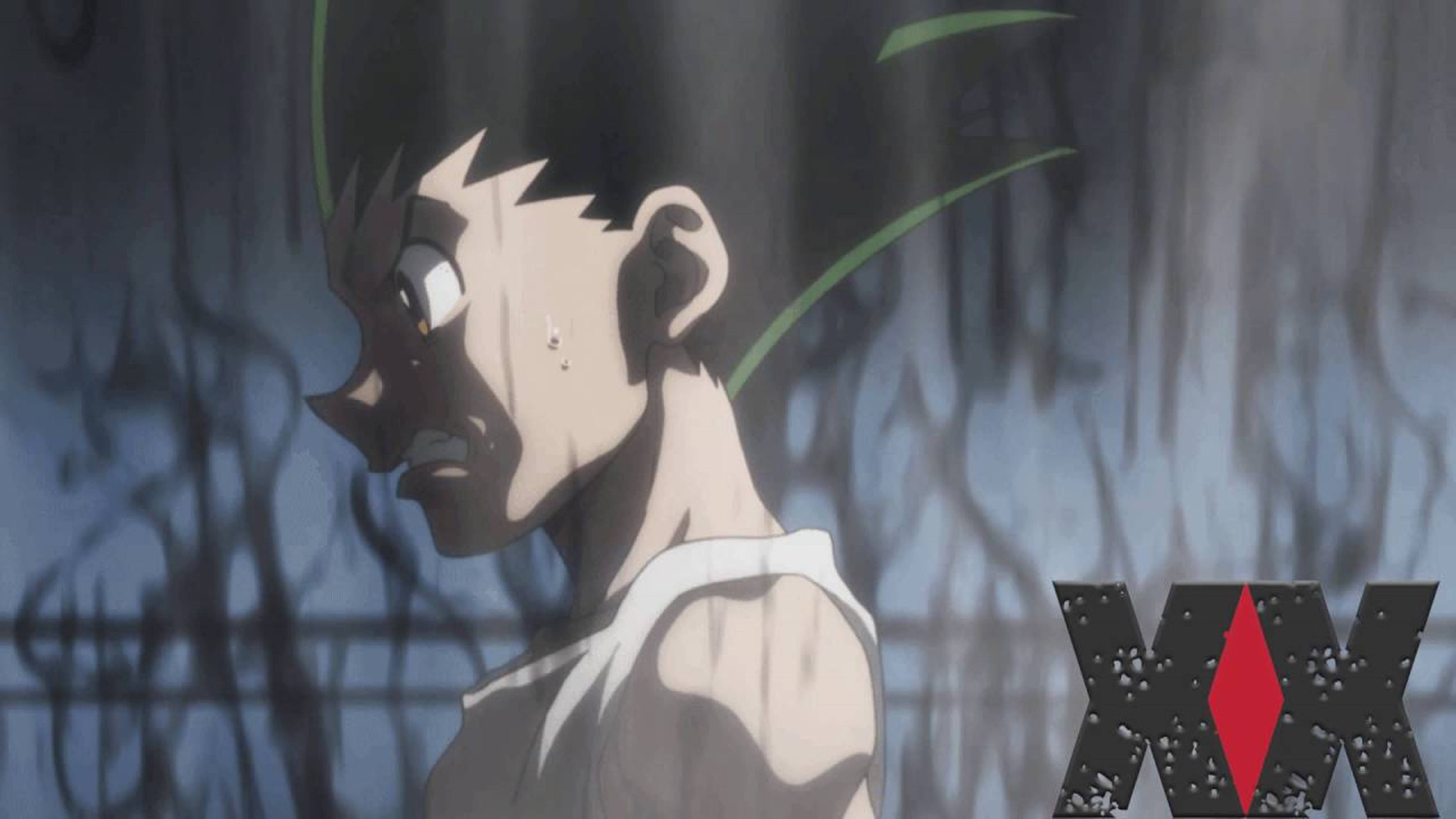 Gif gone. Гон Фрикс в гневе. Hunter x Hunter Гон плачет. Gon Freecss гнев ярость. Хантер х Хантер гиф Гон.