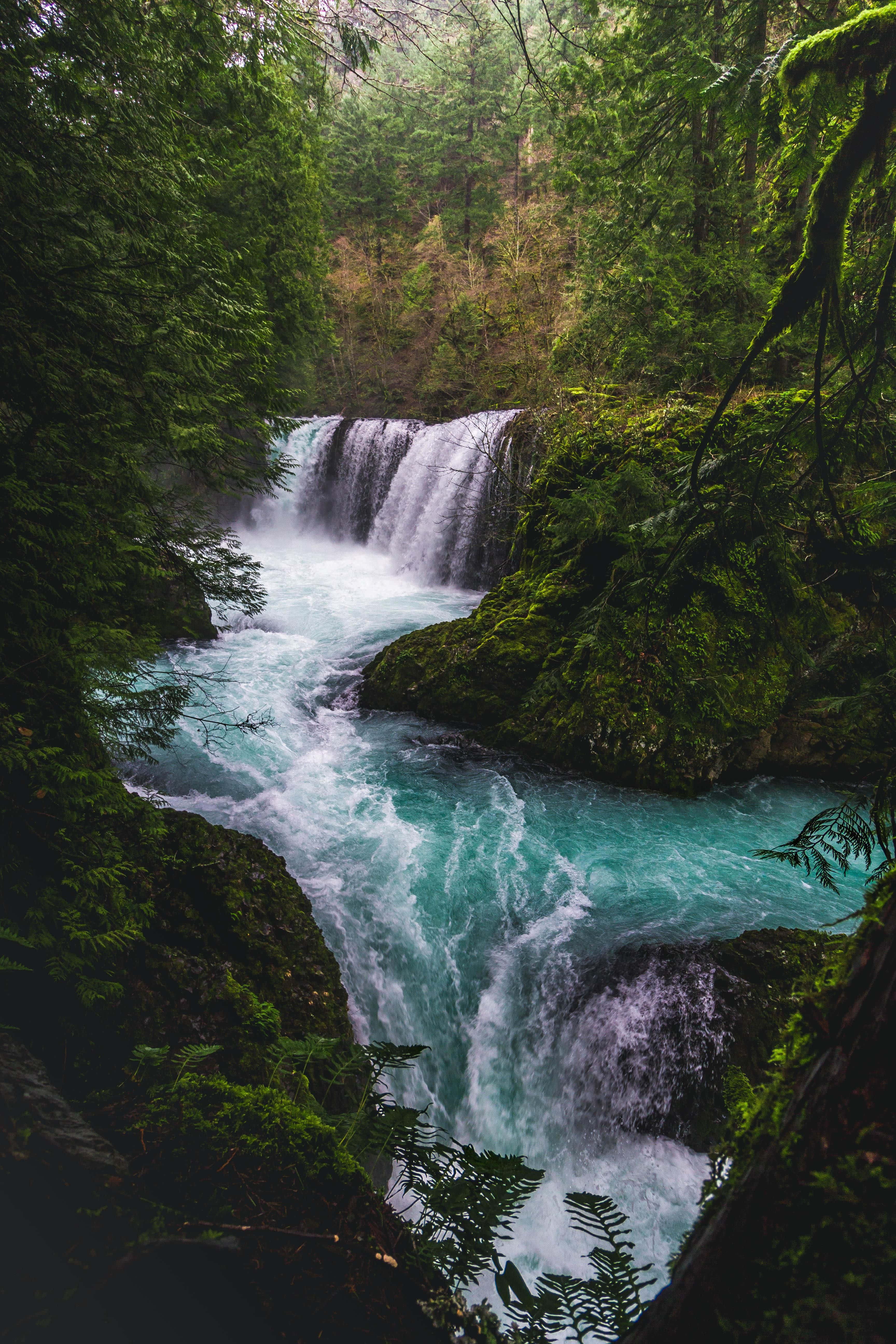 Descargar Imagende Río Con Cascadas En Un Paisaje Natural | Wallpapers.com