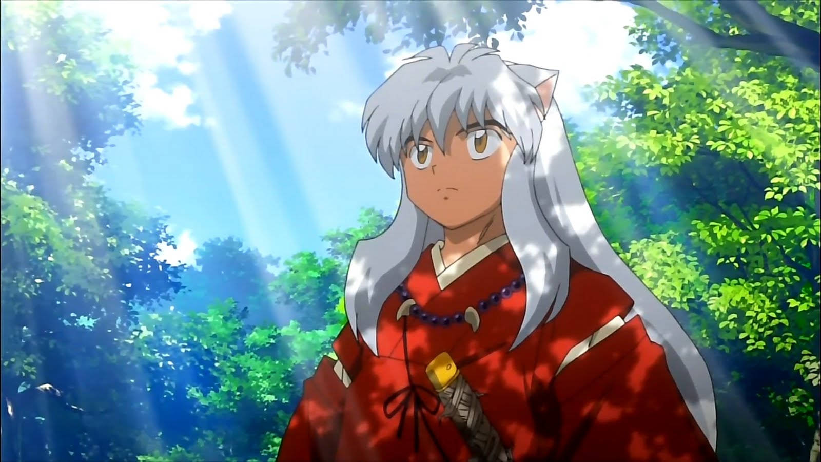 Inuyasha In A Forest Background
